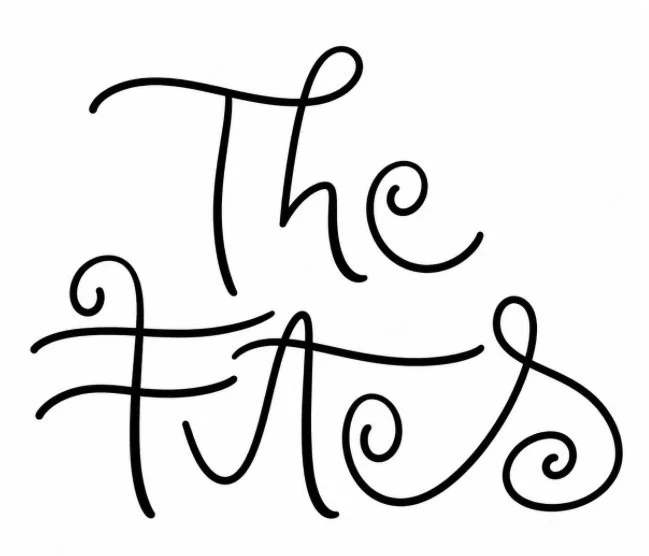 E&amp;A
