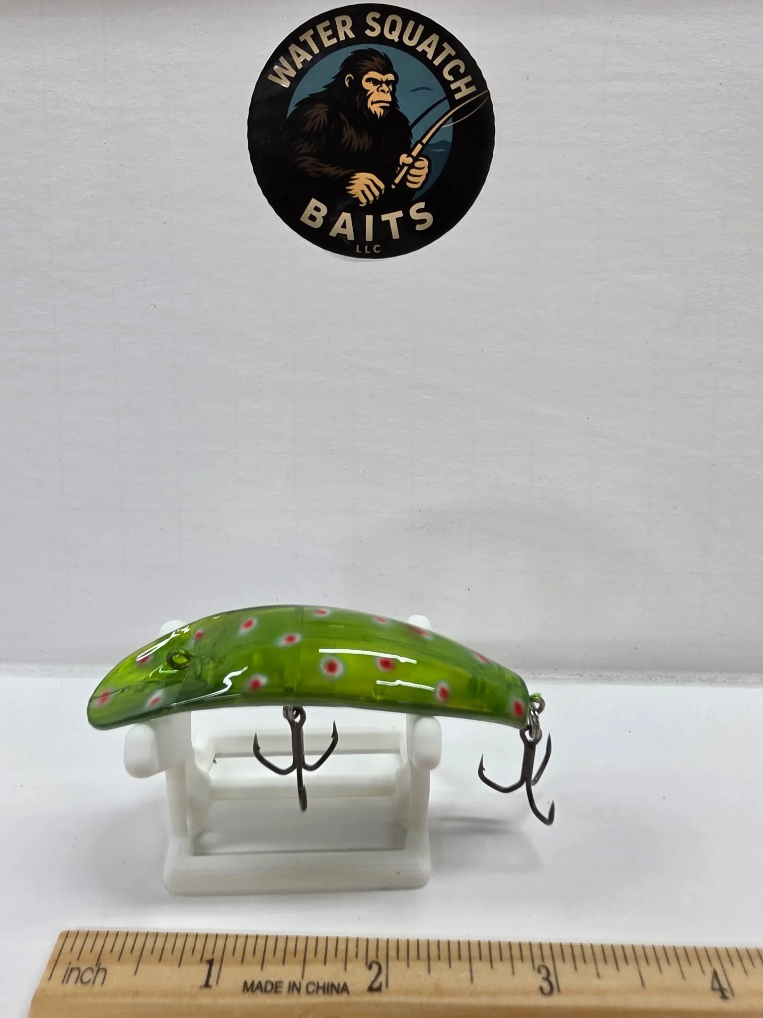 Small Flat Fish 1.JPG