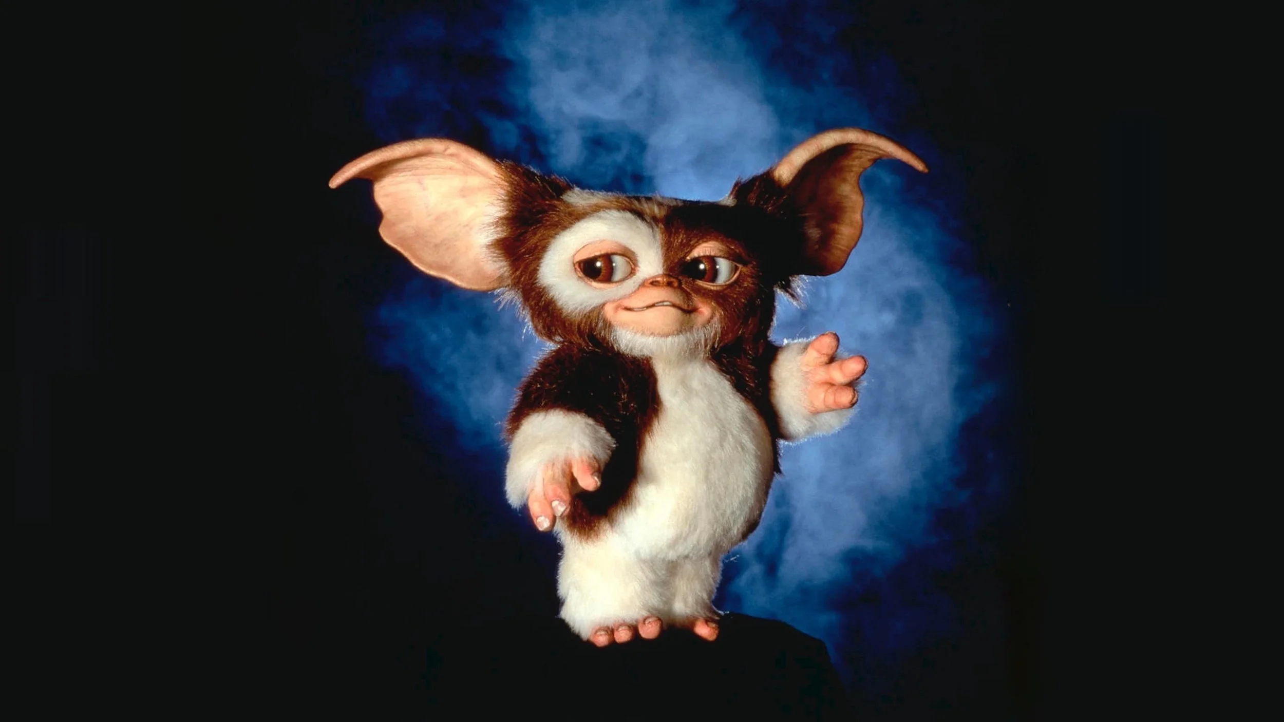 Gizmo