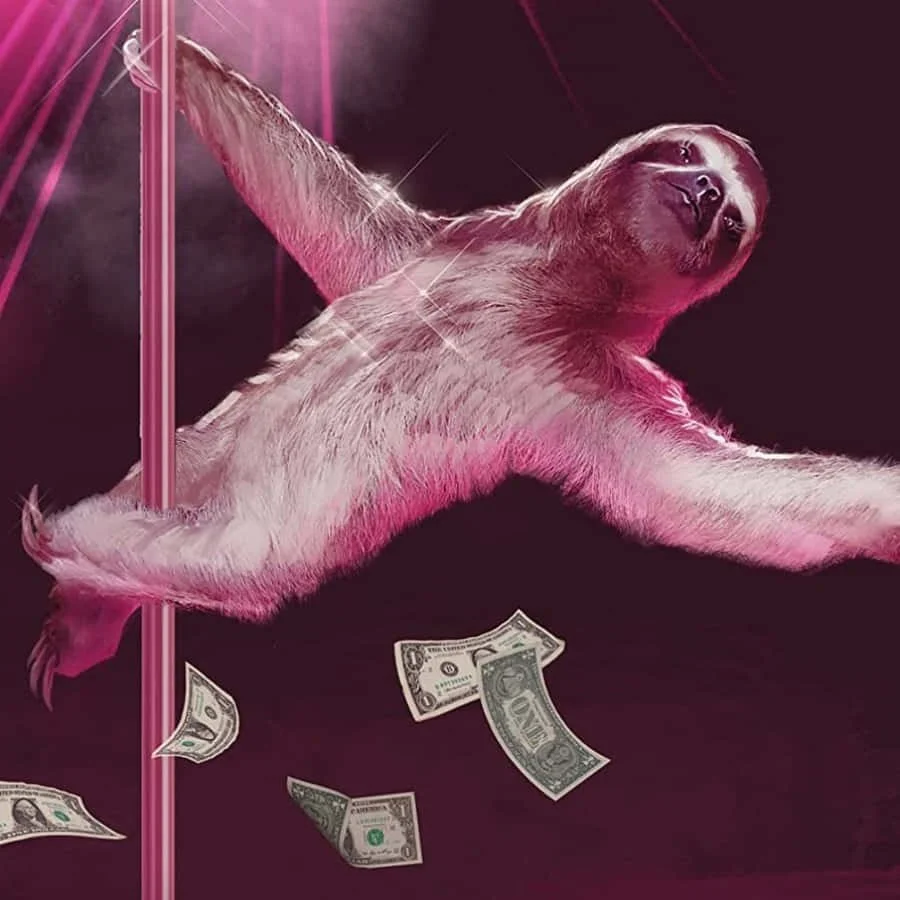 Sloth Pole Dance