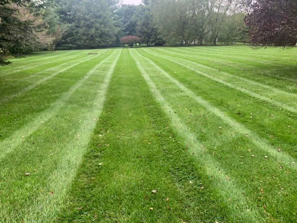 1cf1ba62-b555-47a0-80e1-6bdf851e2388 (1).jpeg