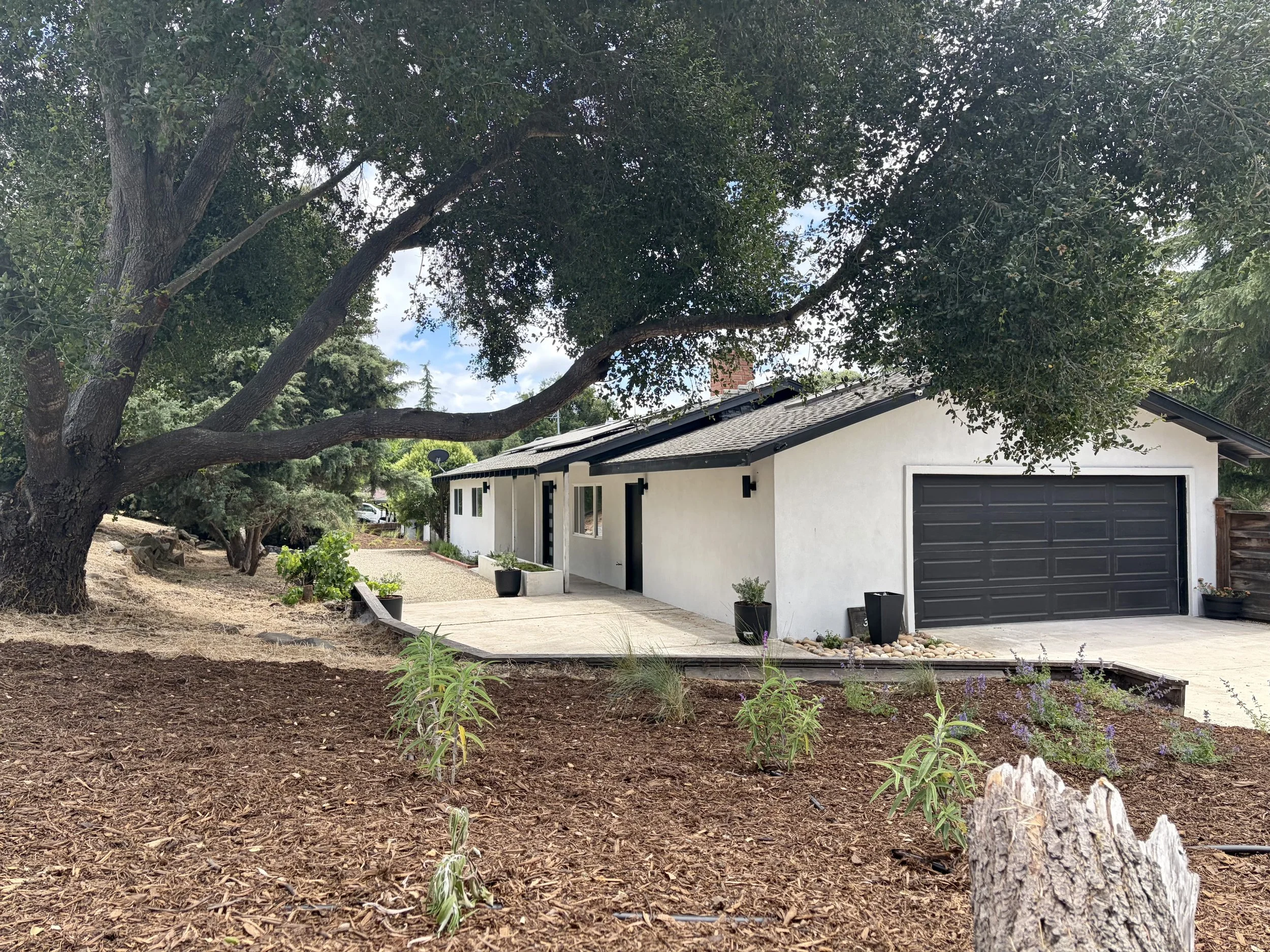 A residential house with a black garage door and white exterior walls, surrounded by a landscaped yard with small plants and mulch, large tree with wide branches, cloudy sky visible in the background.