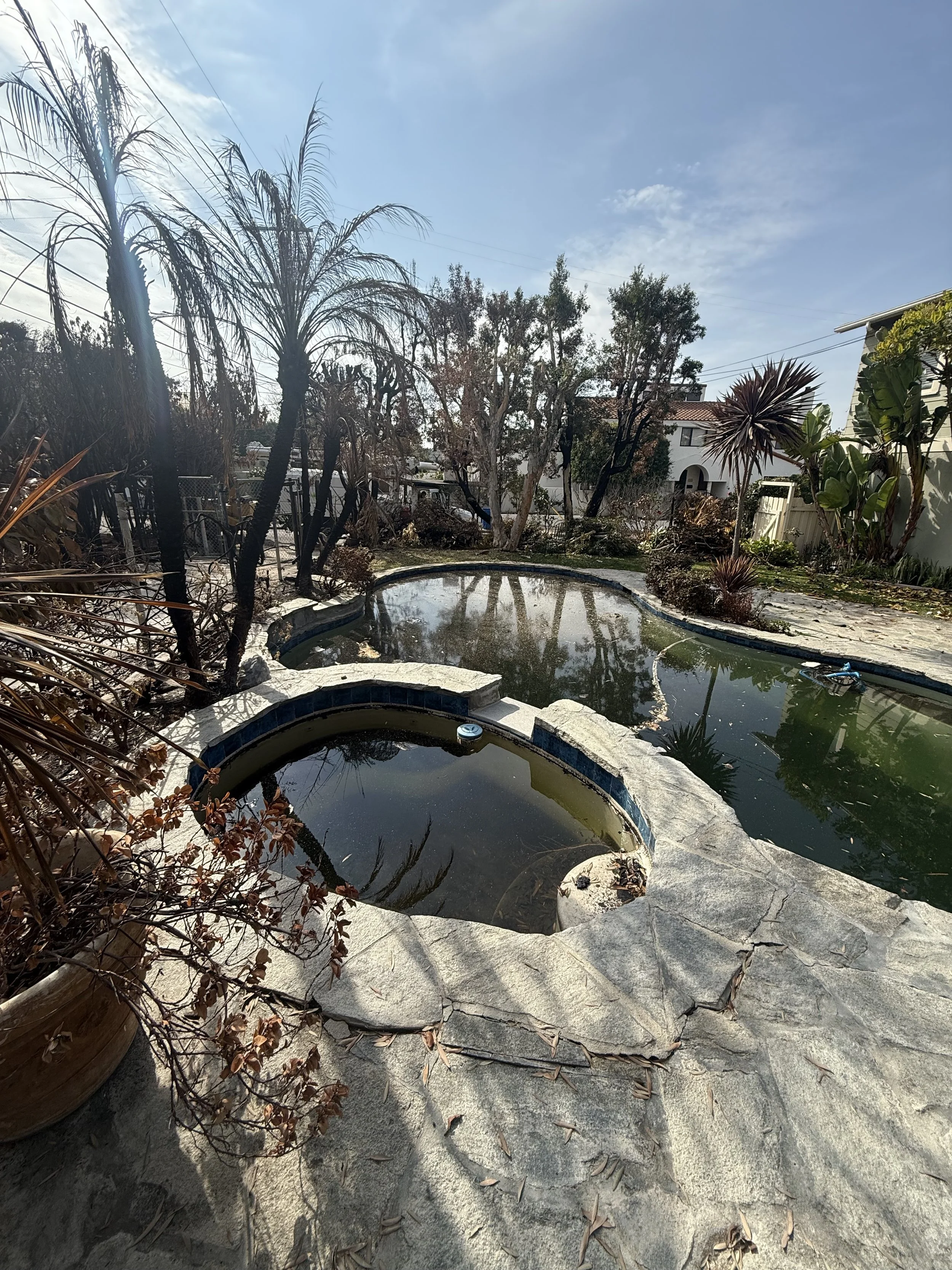 Backyard pool and spa filled with debris after fire damage, with burned landscaping and charred vegetation
