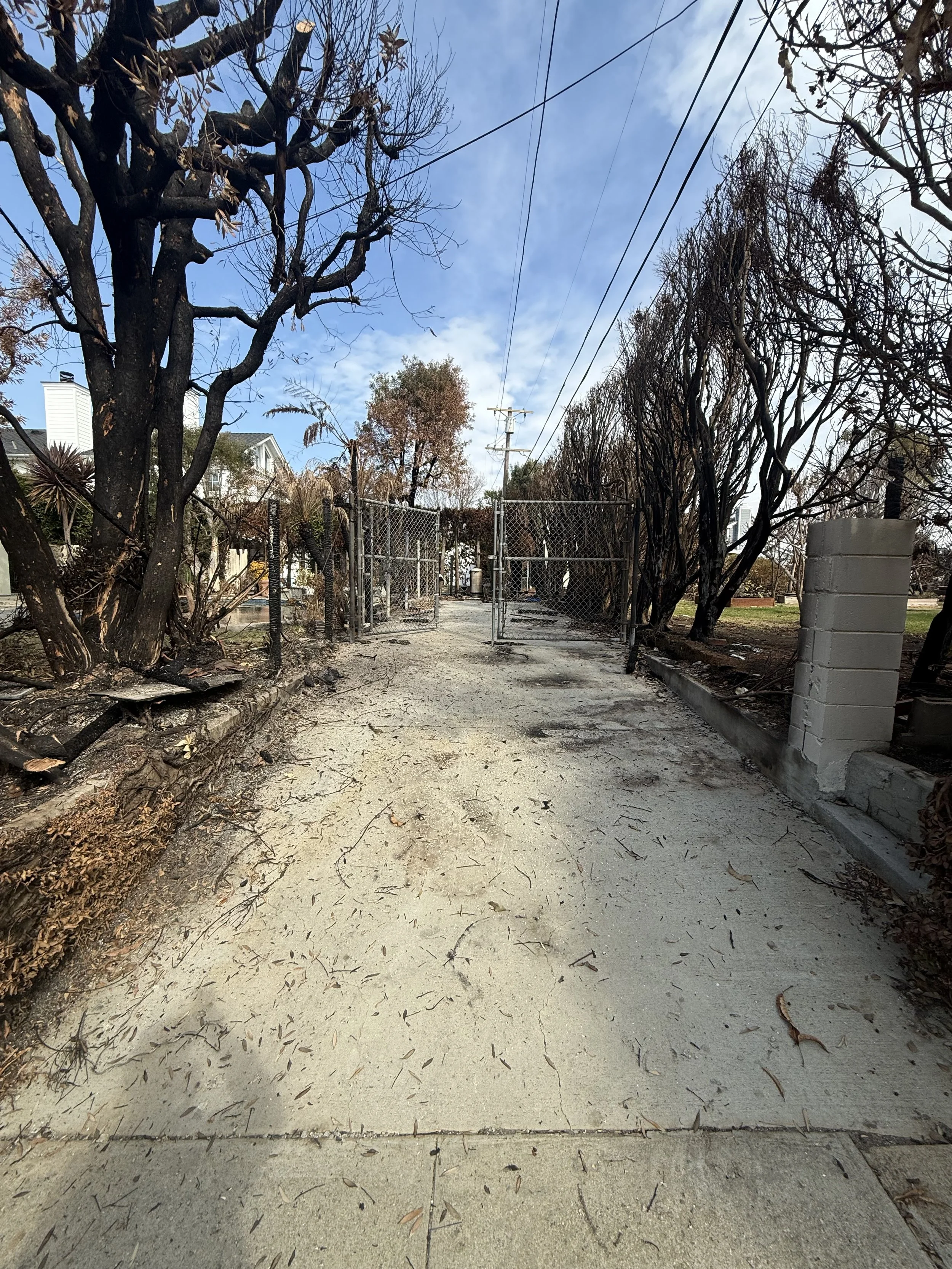 Outdoor pathway with burned trees and ash-covered ground following fire damage