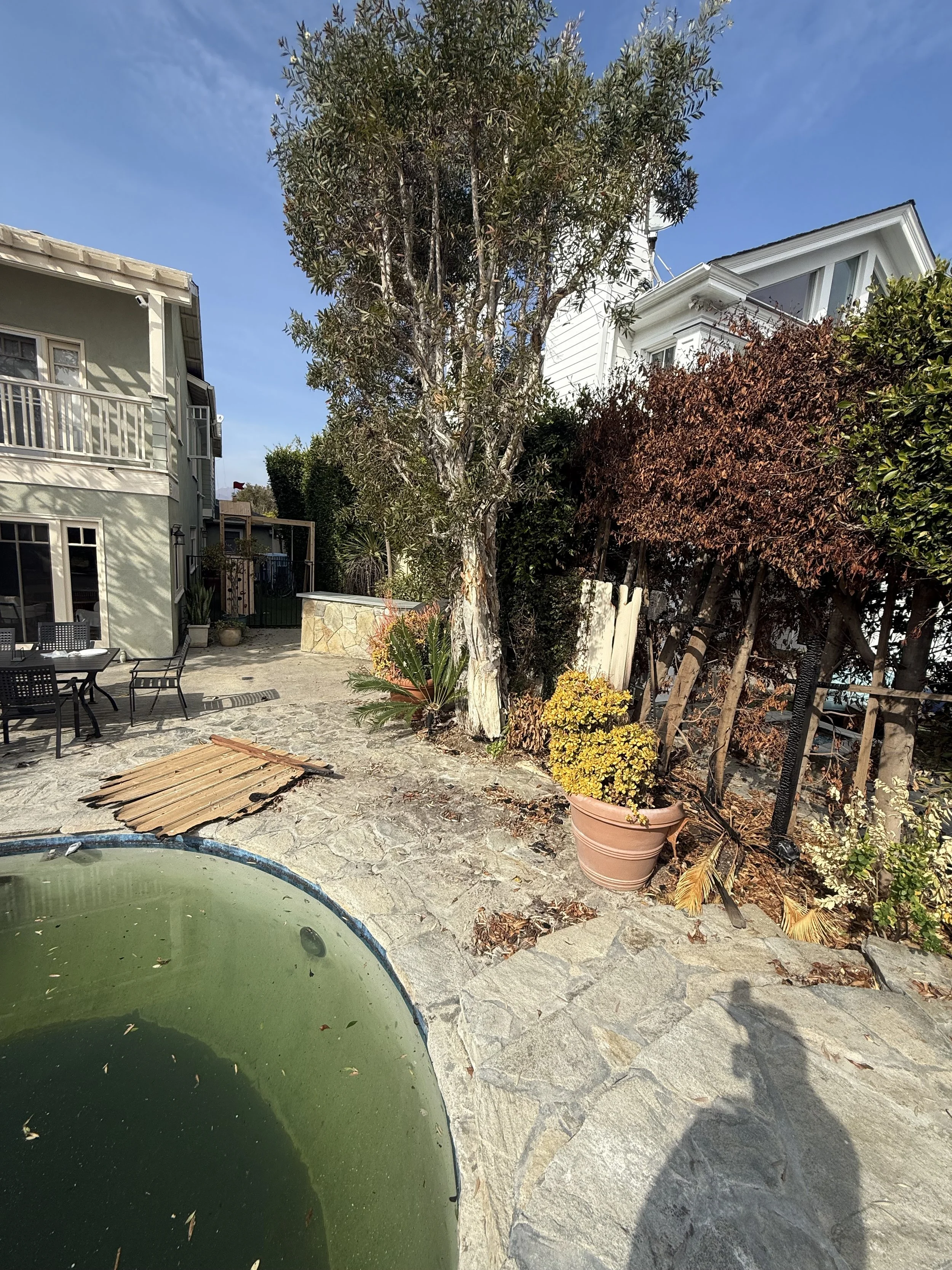 Backyard patio and pool area after fire damage with debris, damaged landscaping, and surrounding home exterior
