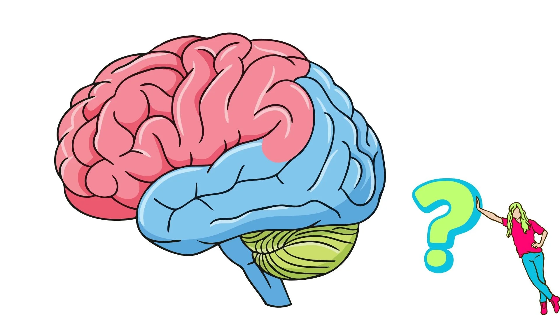 A colorful illustration of a human brain with pink, blue, green, and yellow sections, and a woman standing next to a large question mark, pointing at it.
