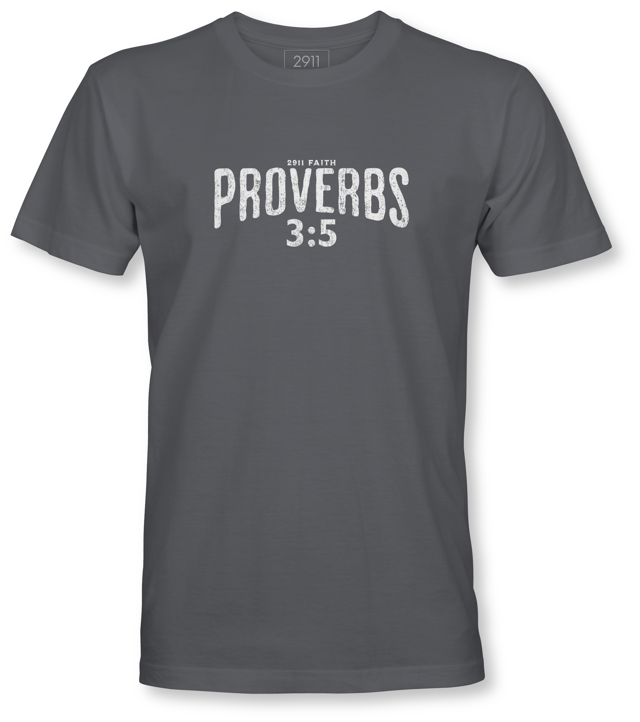 Charcoal-Shirt---Proverbs.png