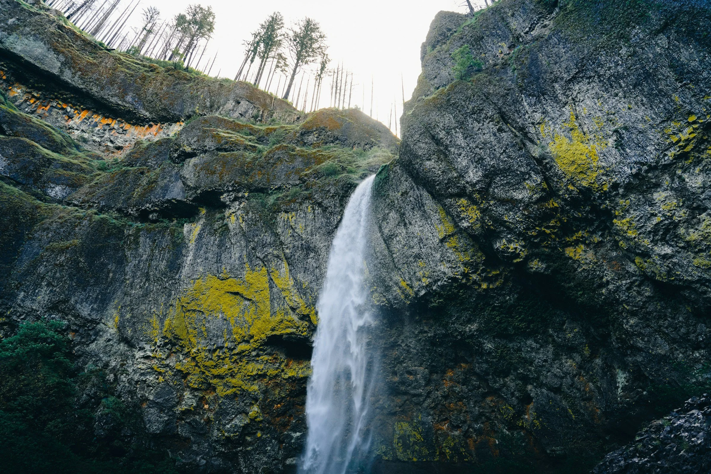 website-template-therapy-counseling-pnw-seekers-49.jpg