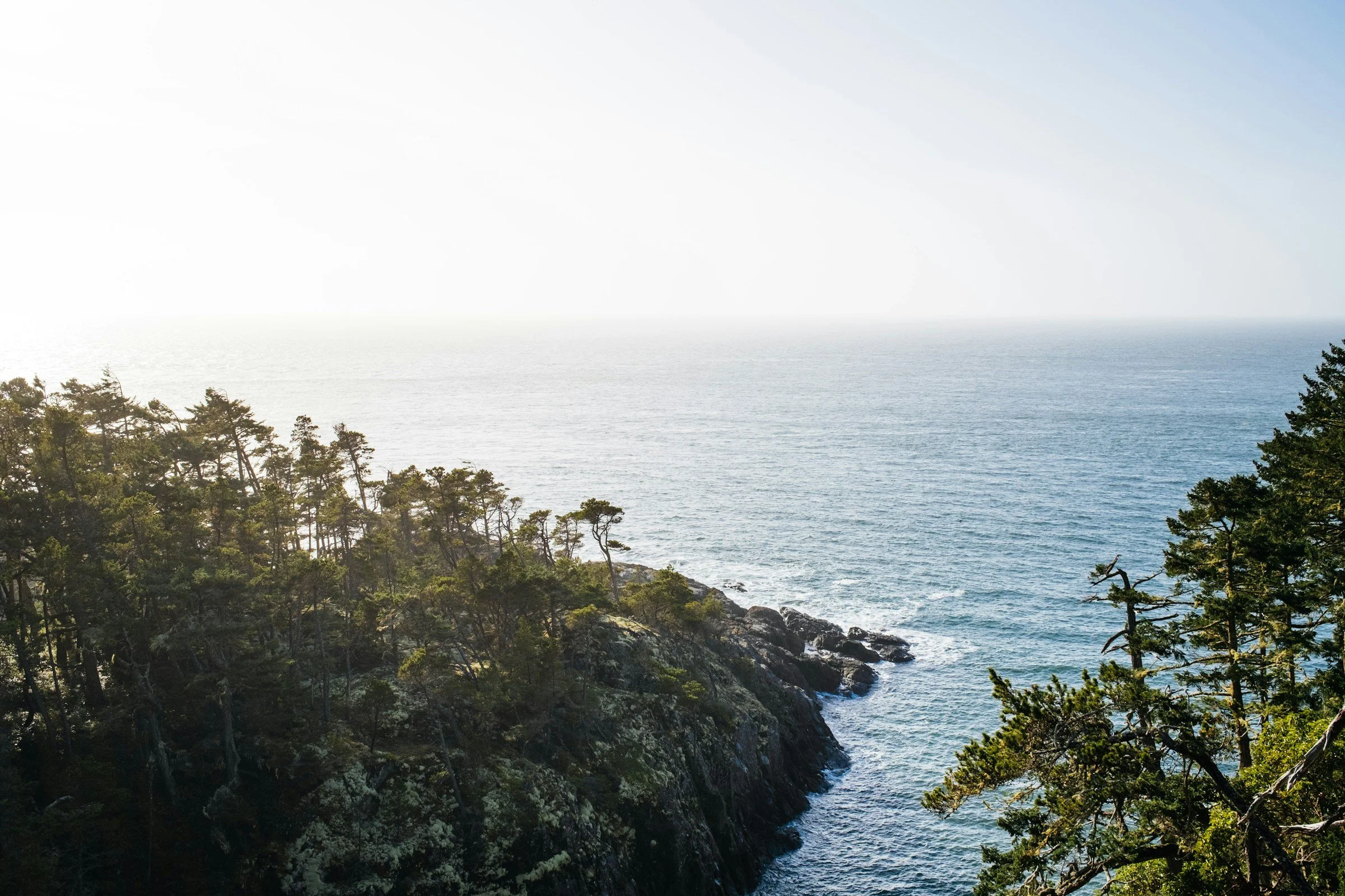 website-template-therapy-counseling-pnw-seekers-10.jpg
