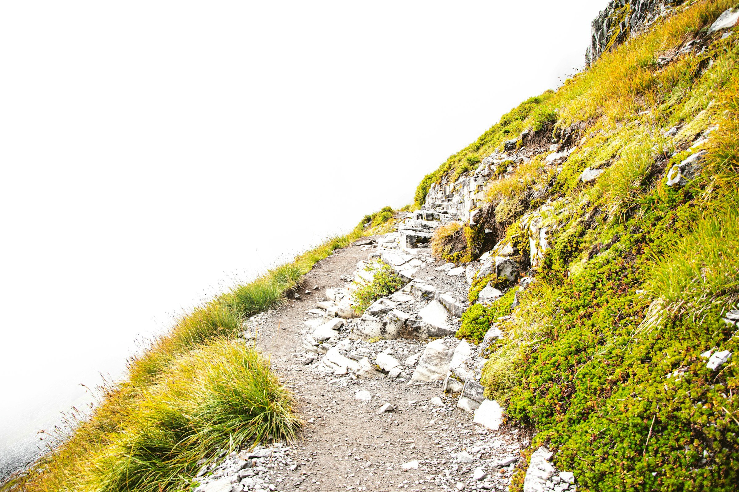 website-template-therapy-counseling-pnw-seekers-22.jpg