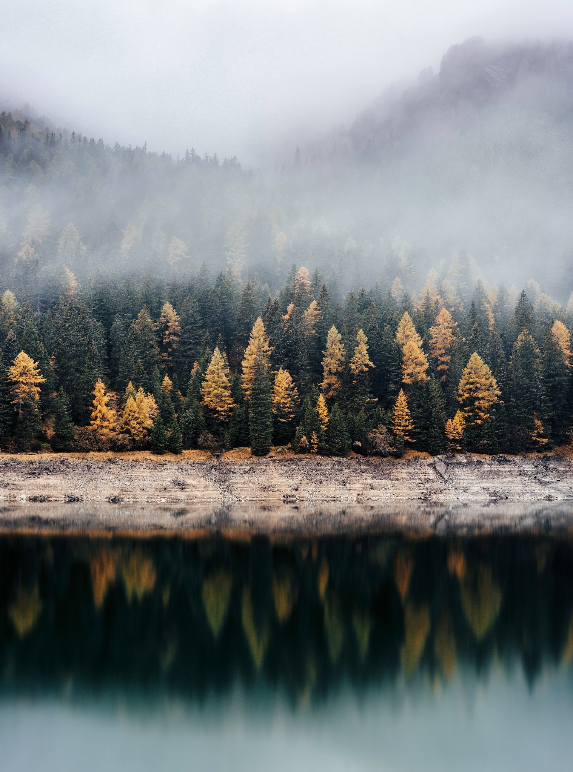 A scenic view of a foggy mountain landscape with a forest of yellow and green trees reflected in a calm lake at the foreground.