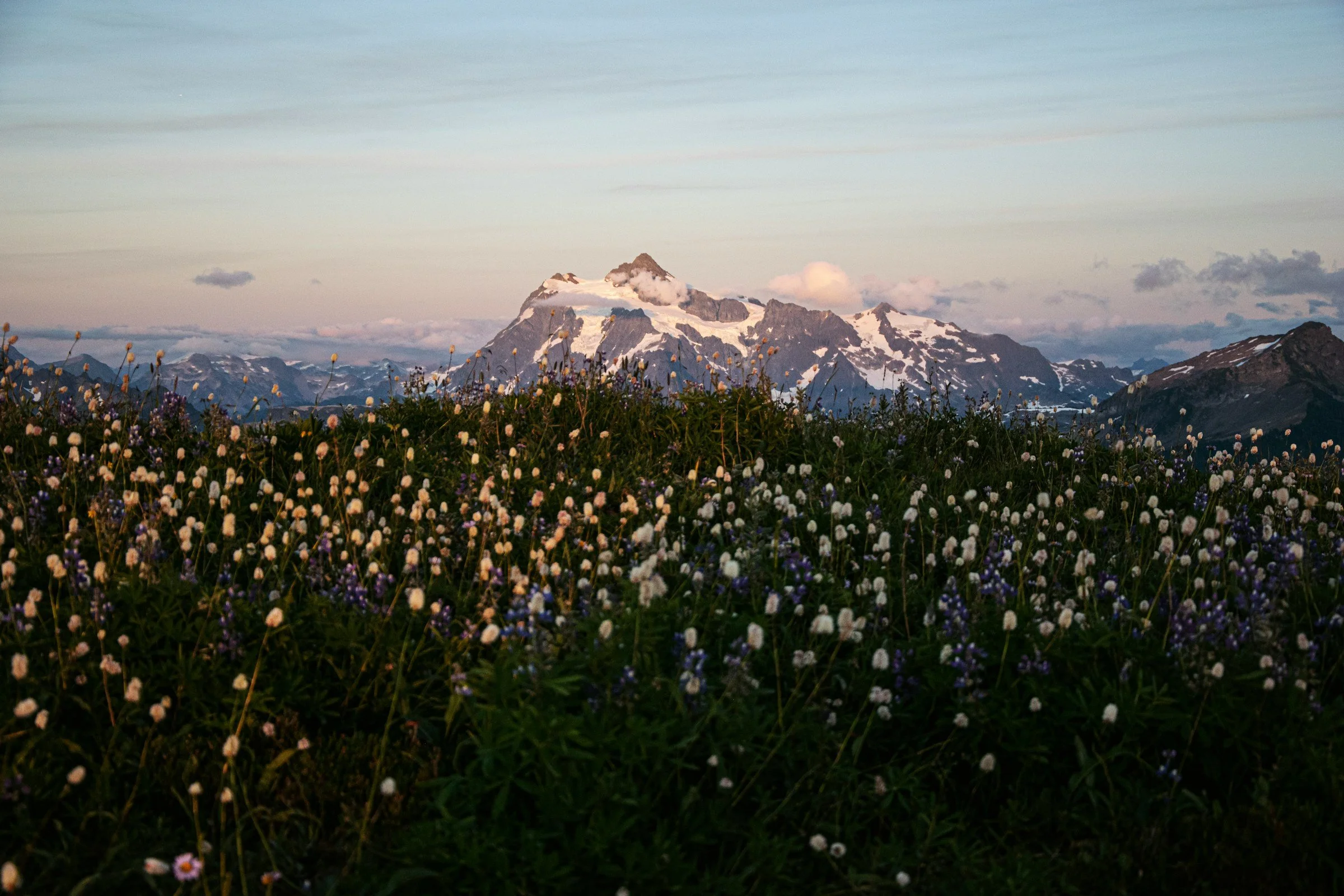website-template-therapy-counseling-pnw-seekers-21.jpg