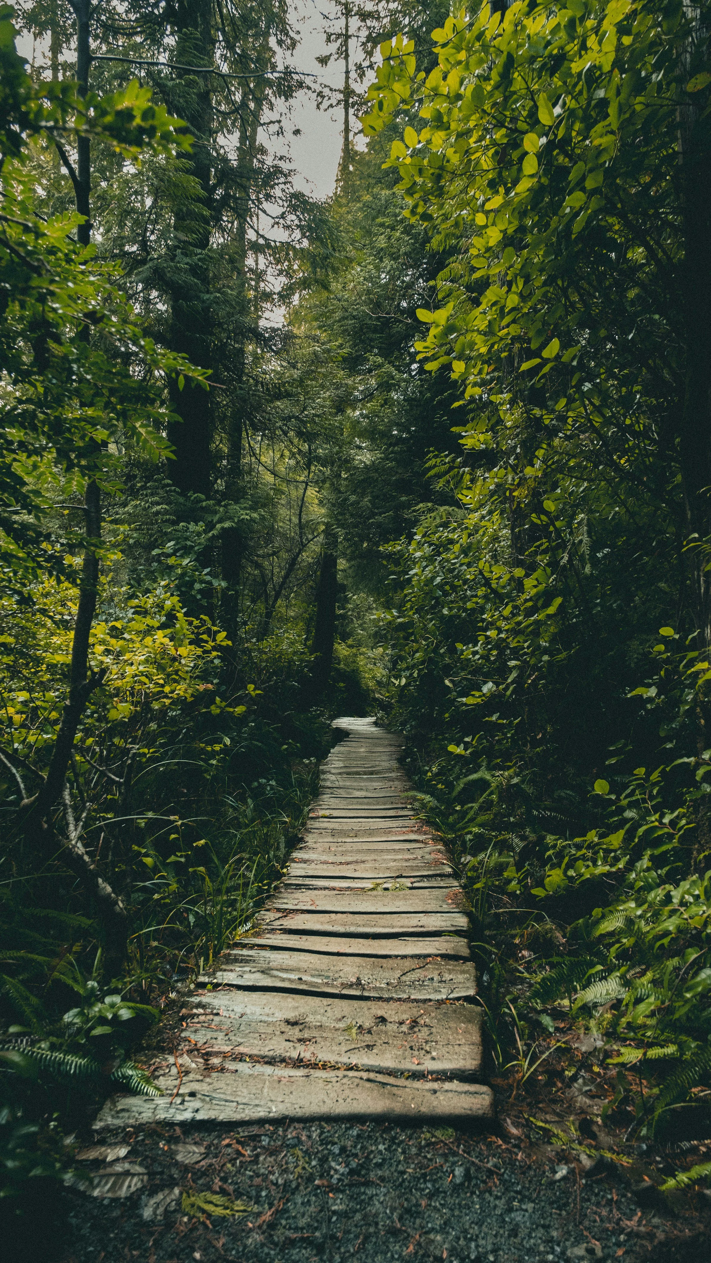 website-template-therapy-counseling-pnw-seekers-8.jpg