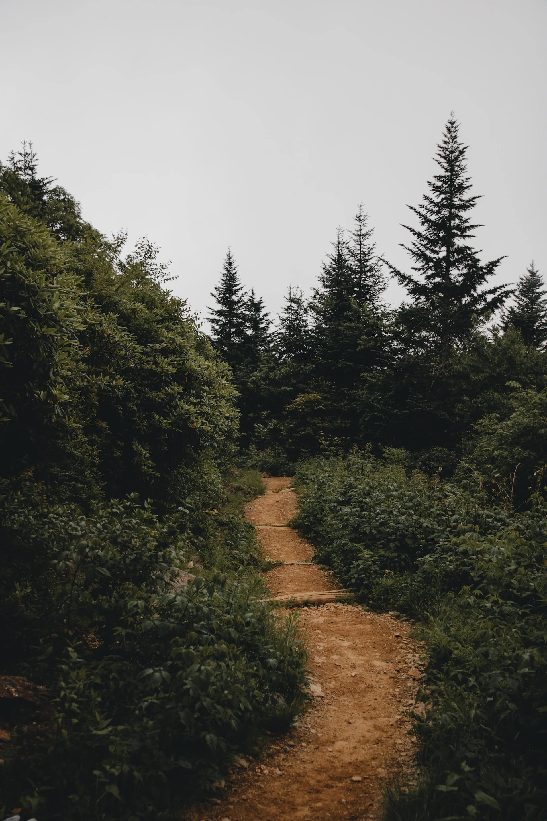 squarespace-therapy-counseling-therapist-website-template-100.jpg