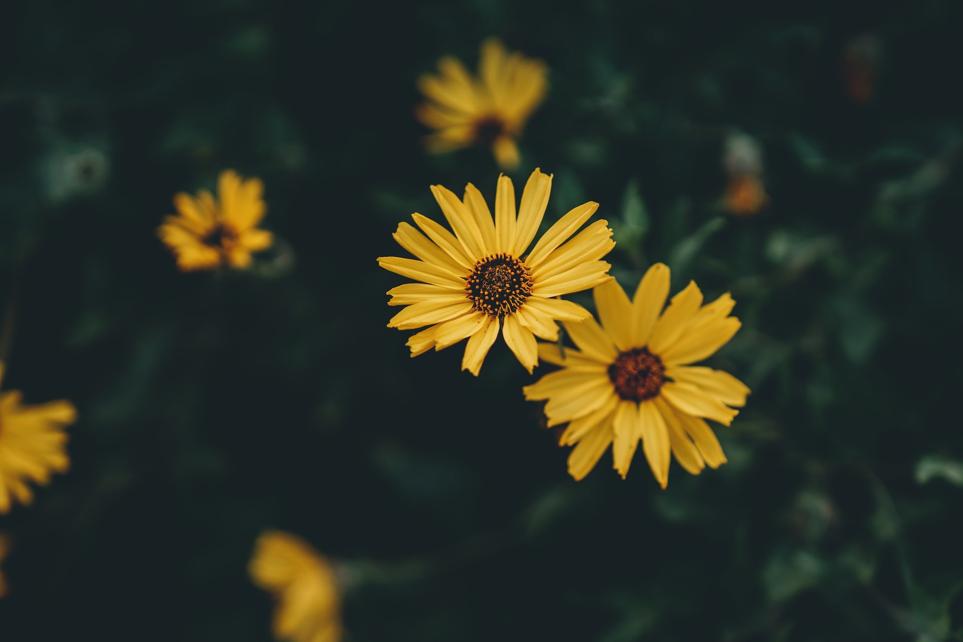 squarespace-therapy-counseling-therapist-website-template-68.jpg