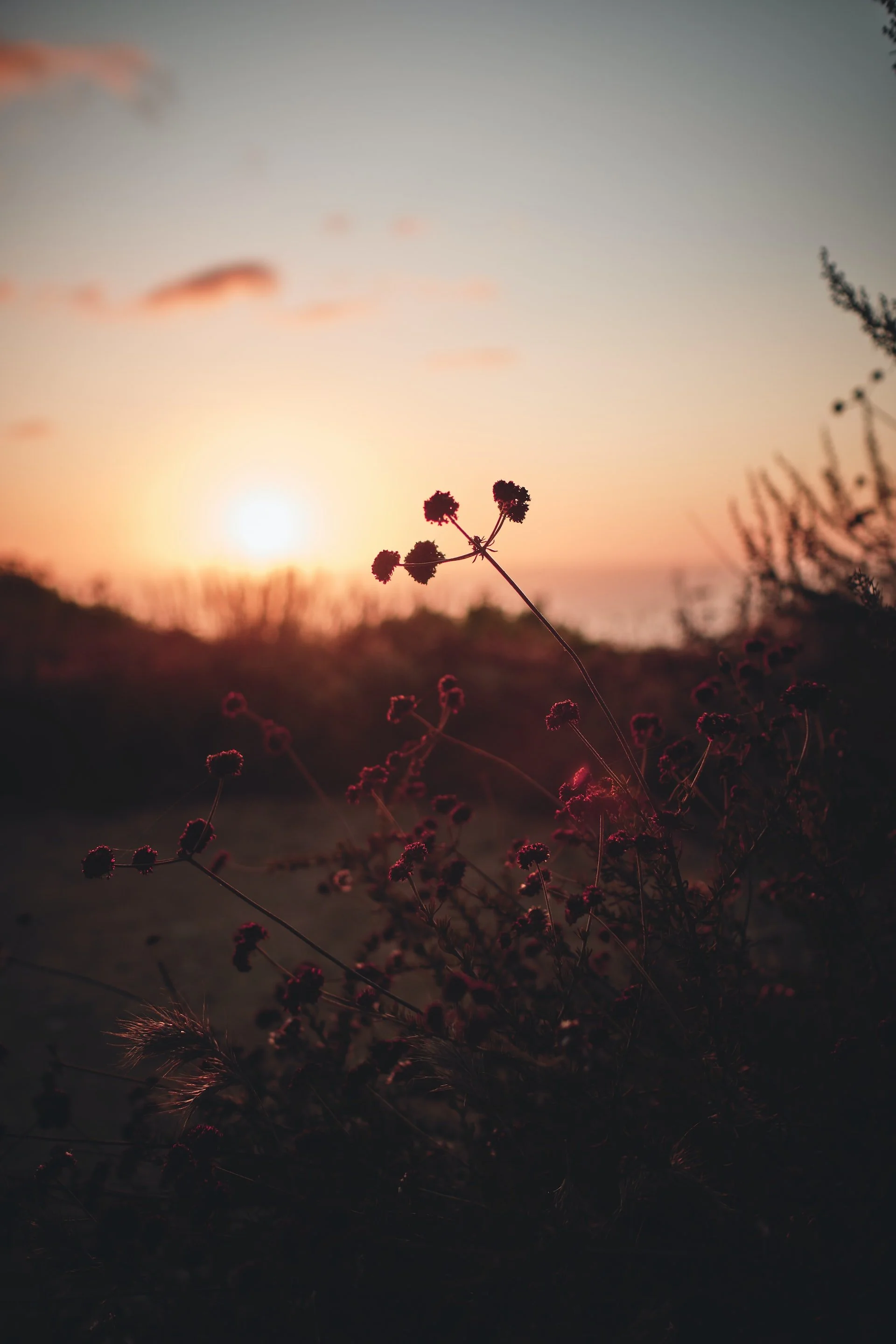 squarespace-therapy-template3.jpg