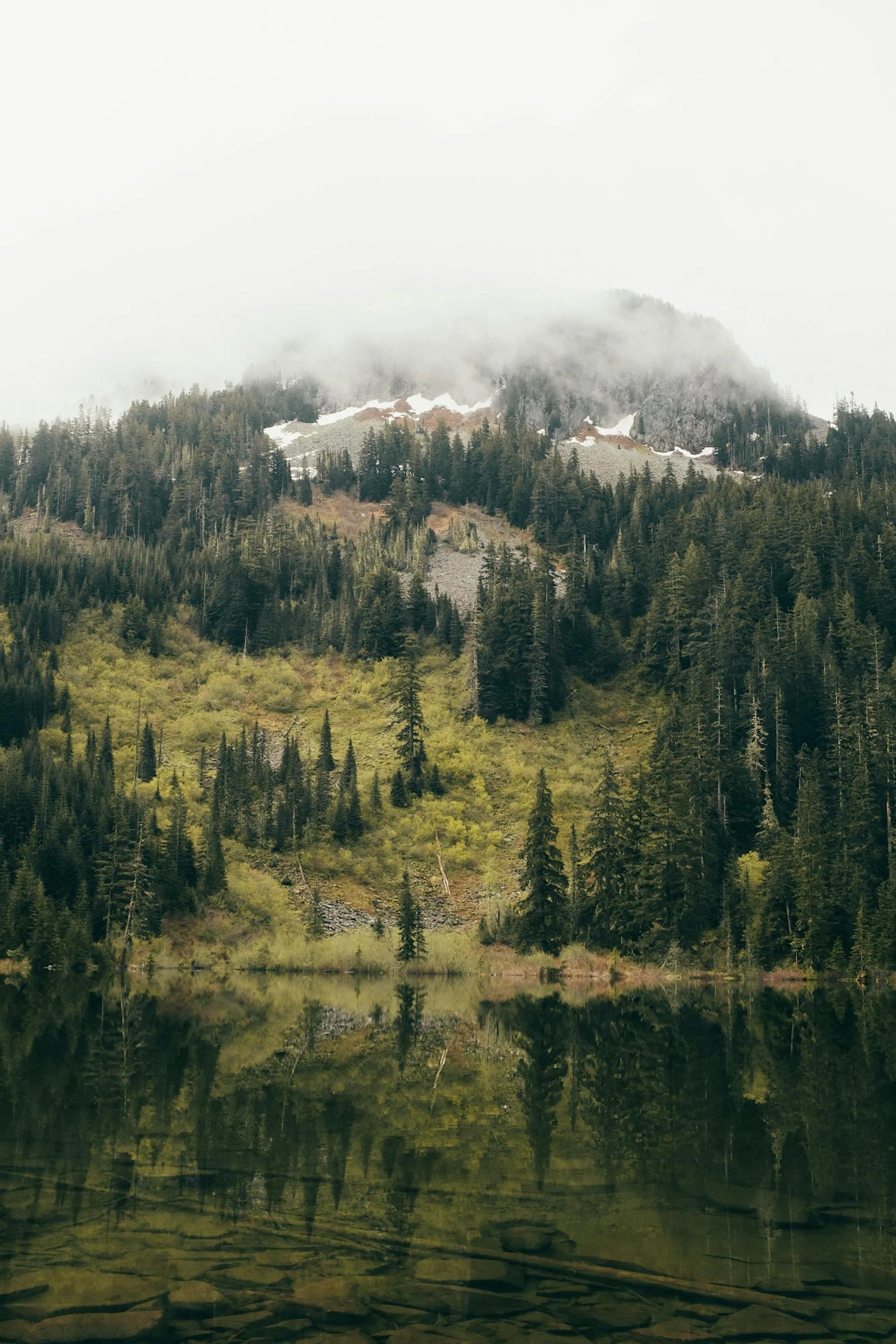 website-template-therapy-counseling-pnw-seekers-62.jpg