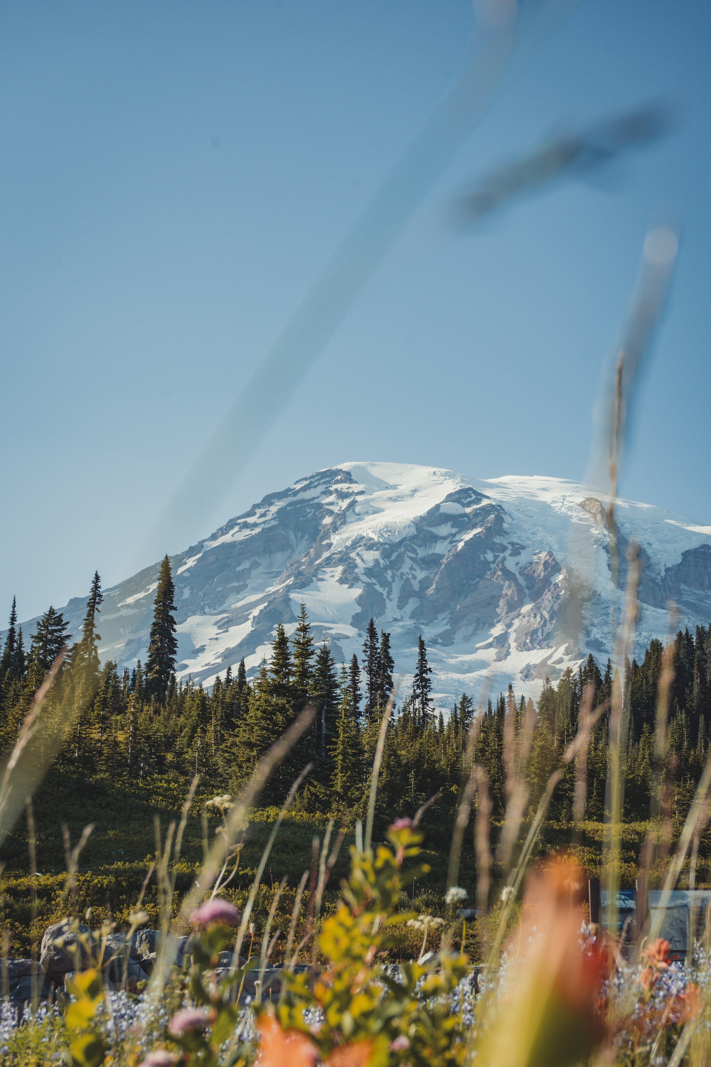 Trauma therapy in Seattle, WA for relational healing.