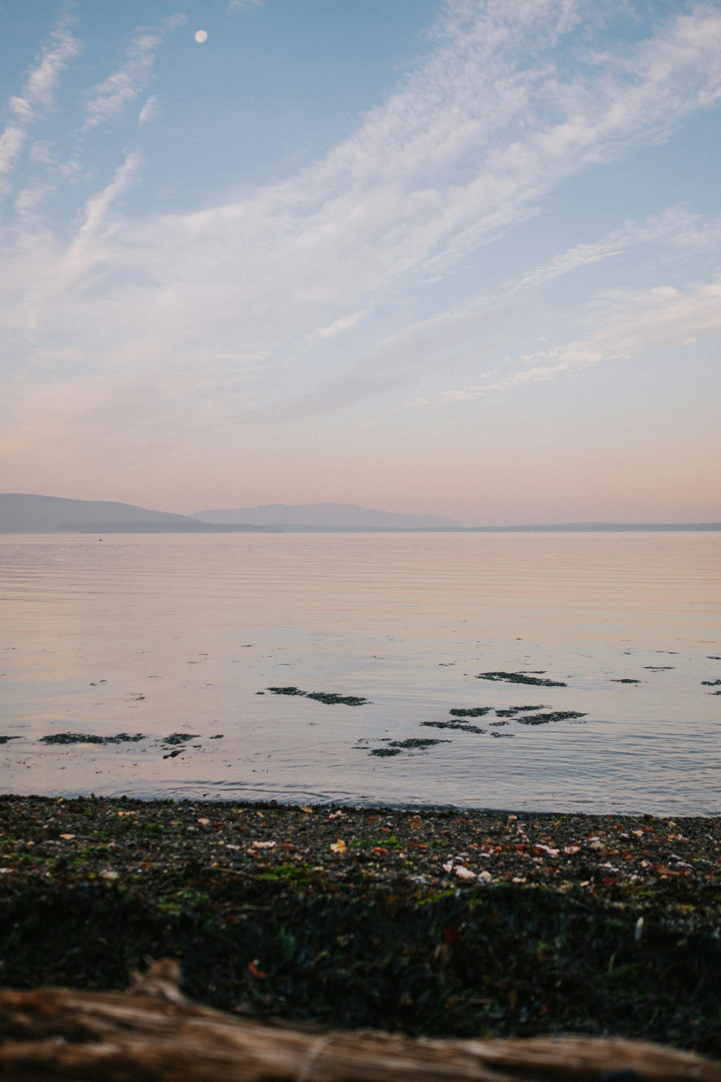 website-template-therapy-counseling-pnw-seekers-17.jpg