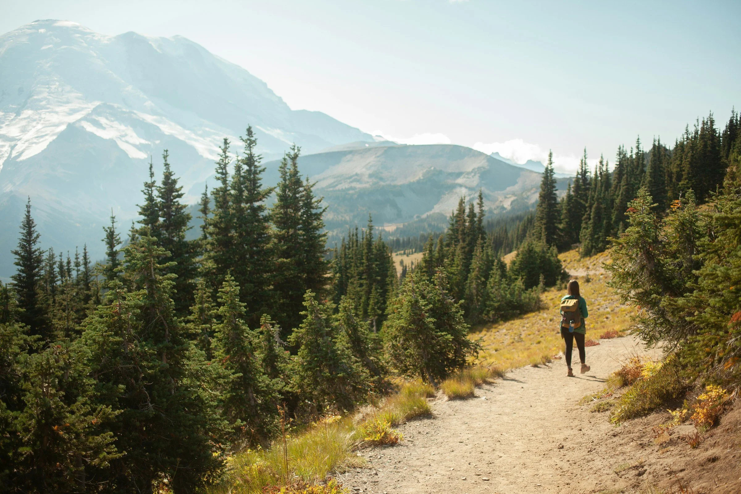 website-template-therapy-counseling-pnw-seekers-27.jpg