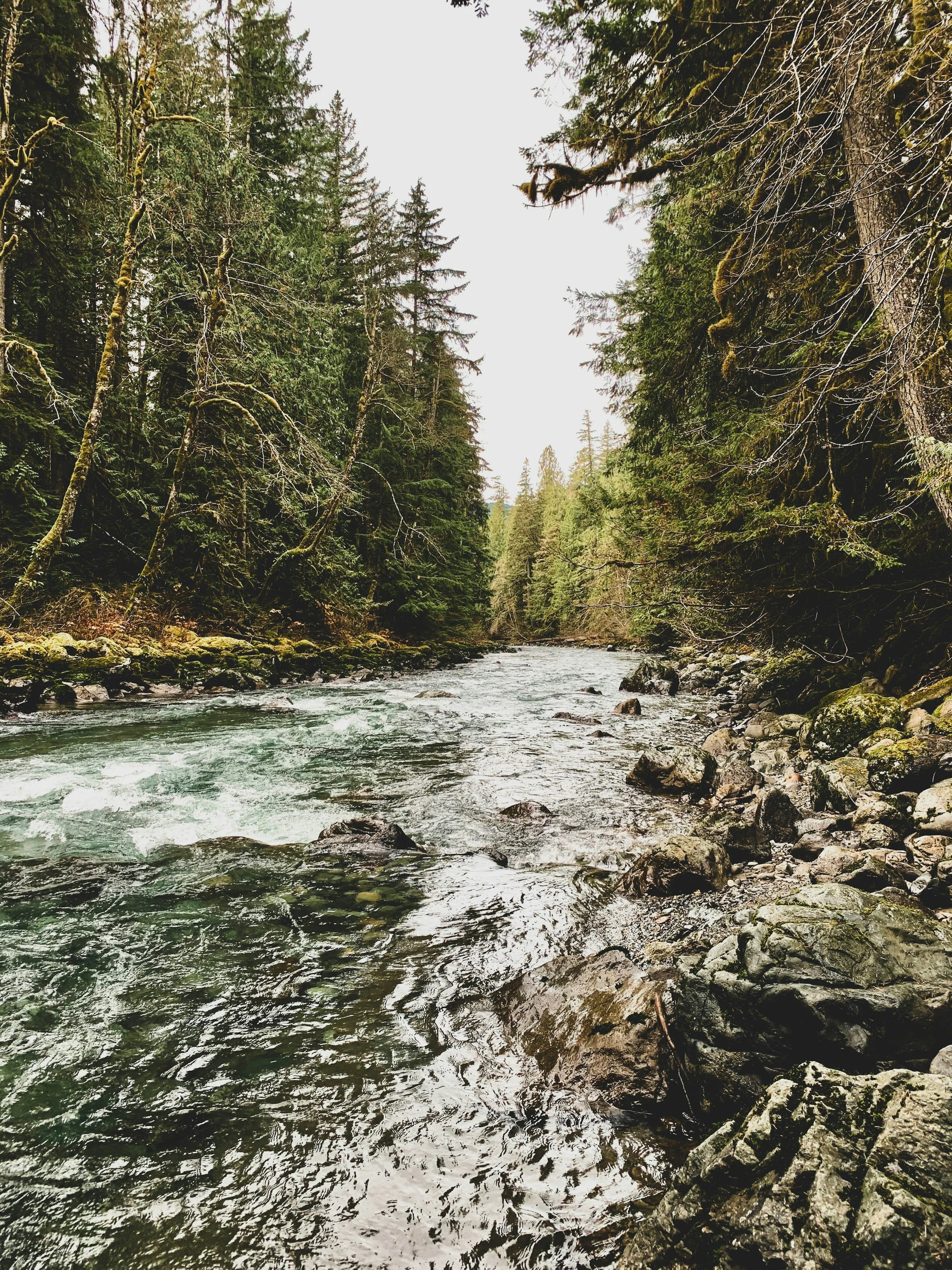 website-template-therapy-counseling-pnw-seekers-26.jpg