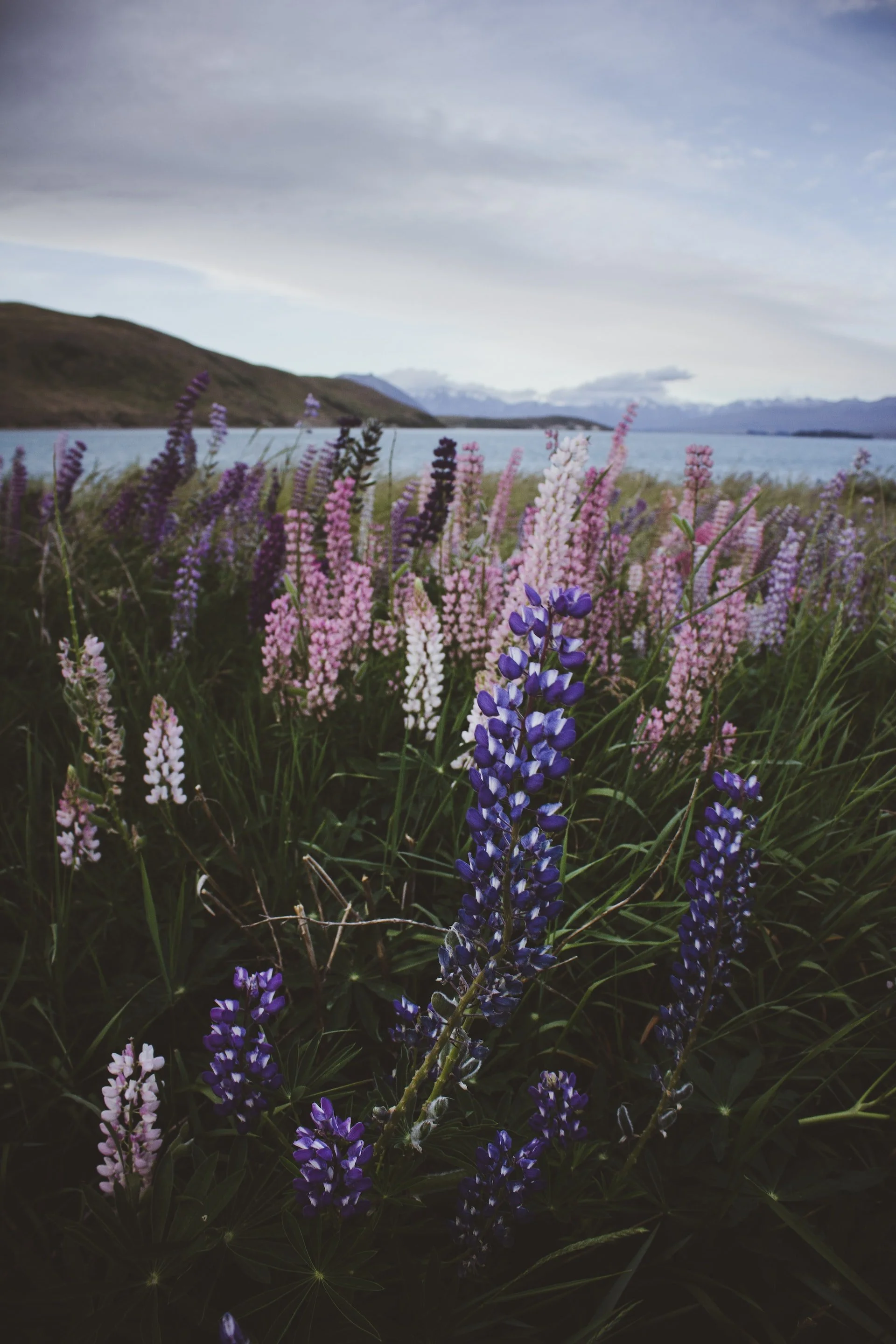 squarespace-therapy-counseling-therapist-website-template-115.jpg