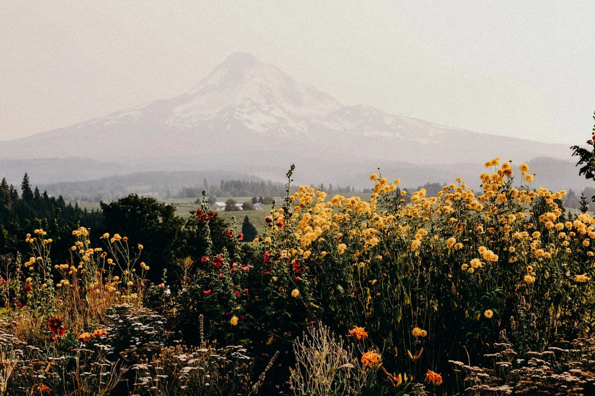 Trauma therapy in Seattle, WA for relational healing.