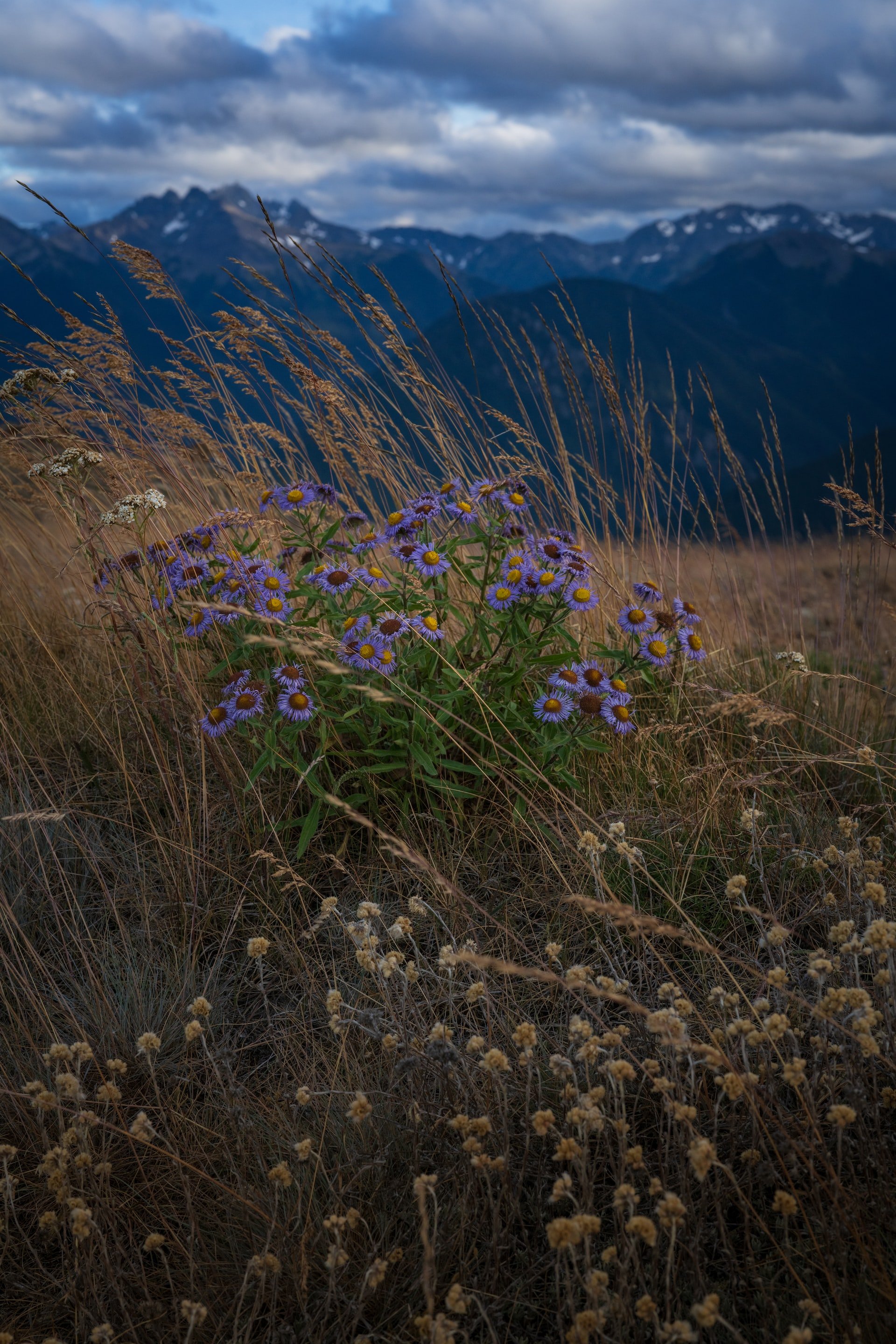 website-template-therapy-counseling-pnw-seekers-79.jpg