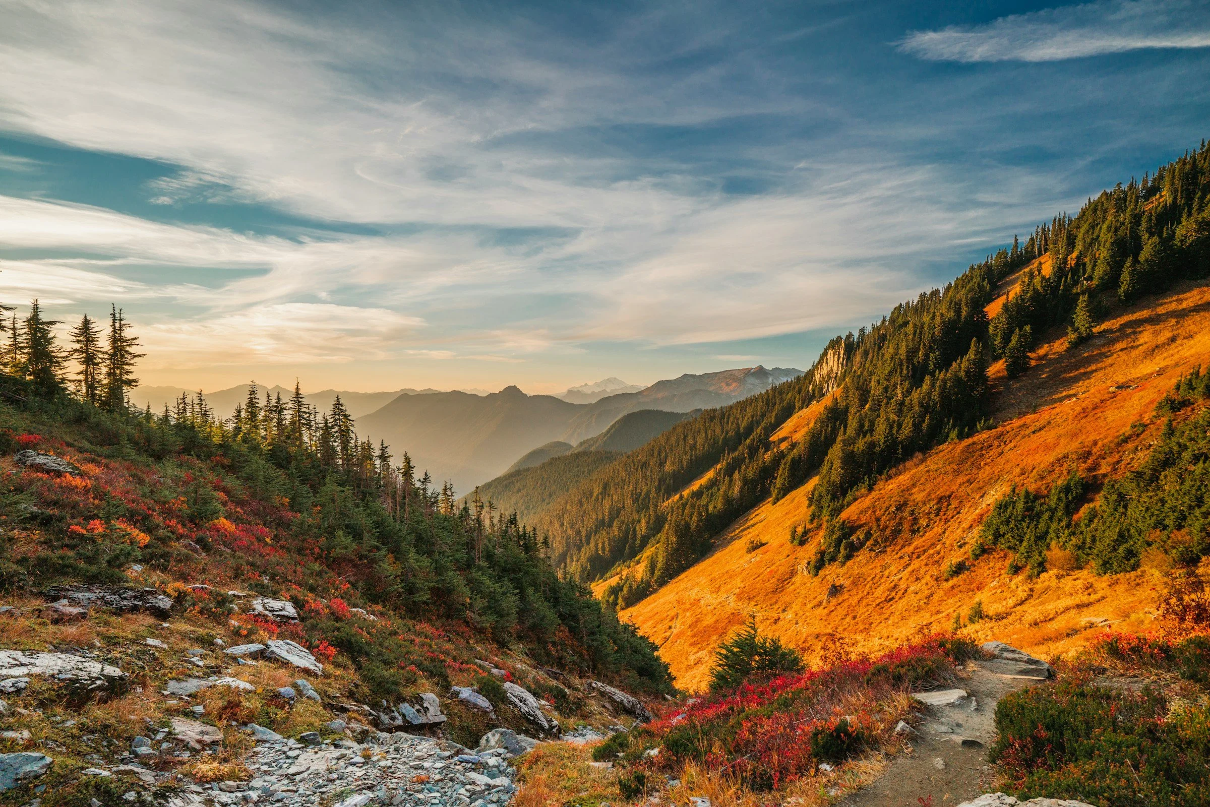 website-template-therapy-counseling-pnw-seekers-44.jpg