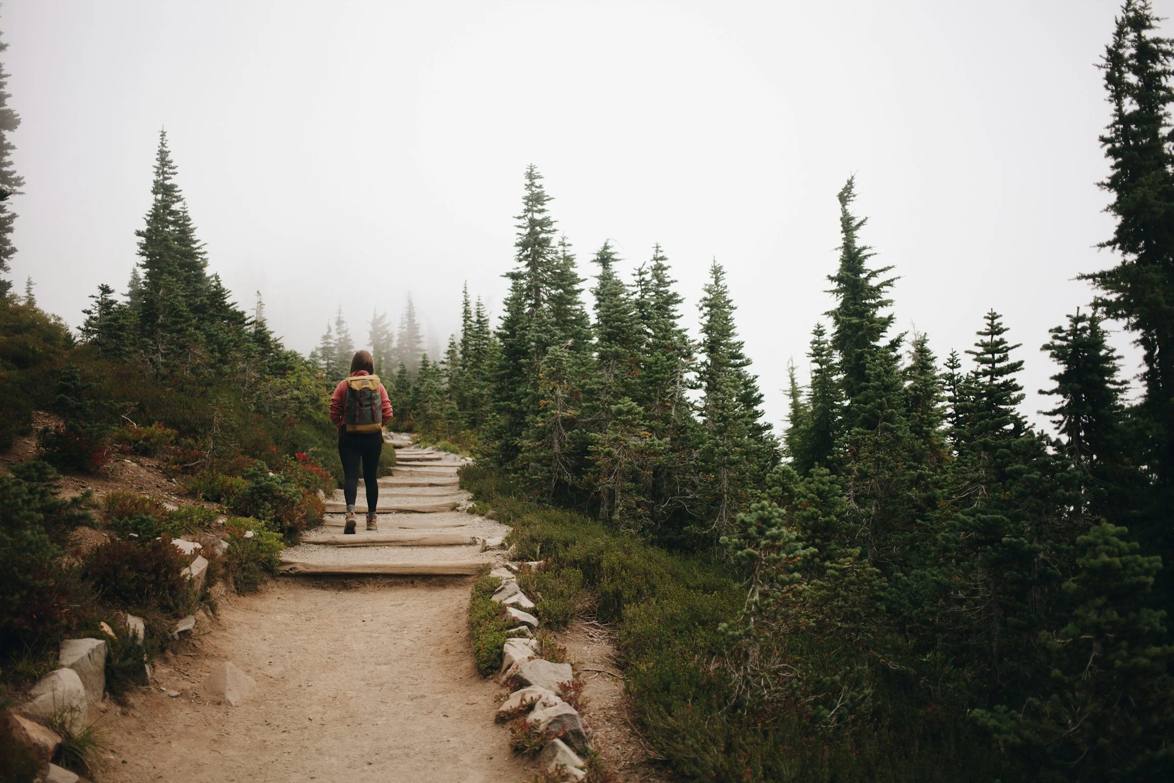 website-template-therapy-counseling-pnw-seekers-28.jpg