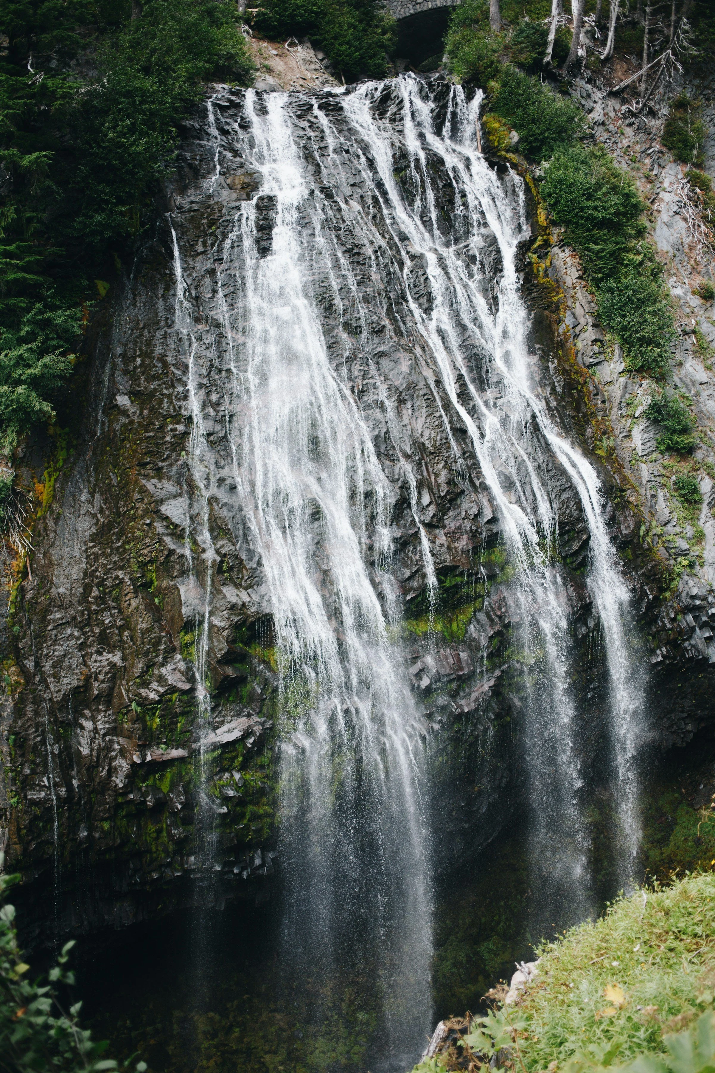 website-template-therapy-counseling-pnw-seekers-29.jpg