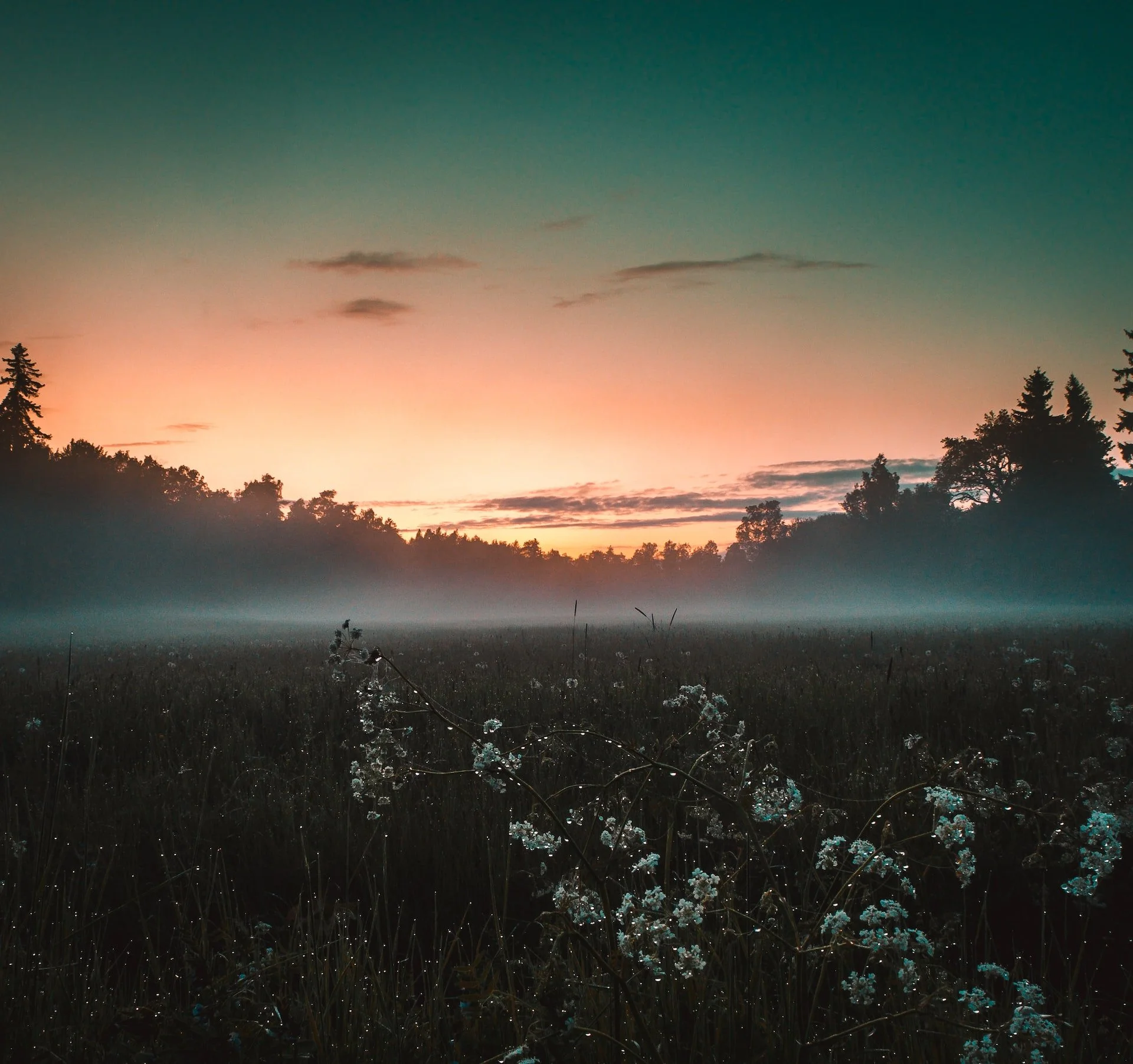 squarespace-therapy-template4.jpg