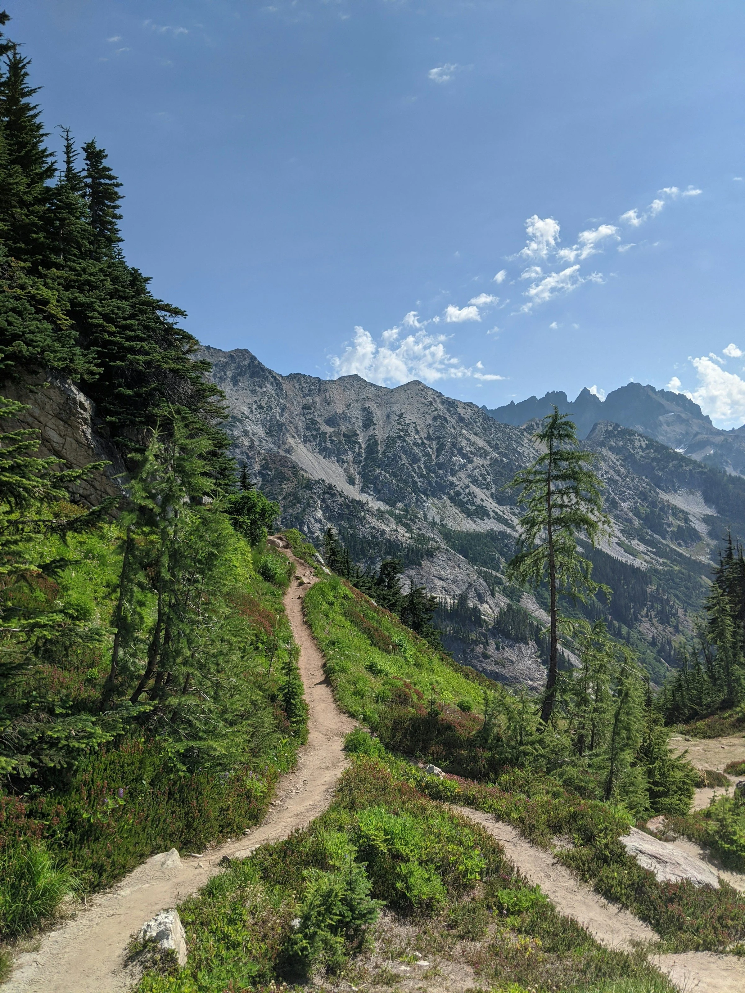 website-template-therapy-counseling-pnw-seekers-20.jpg
