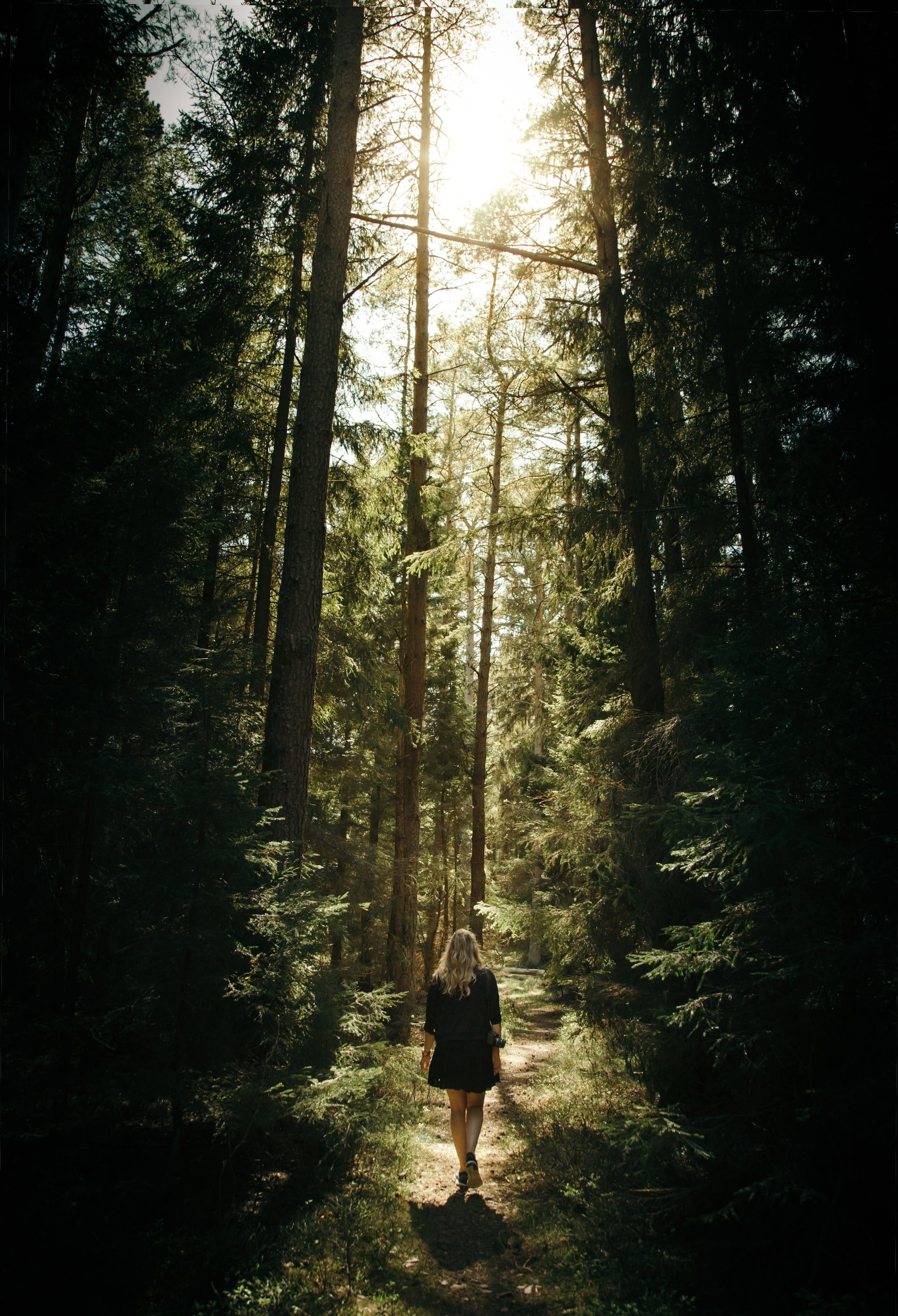 squarespace-therapy-counseling-therapist-website-template-78.jpg