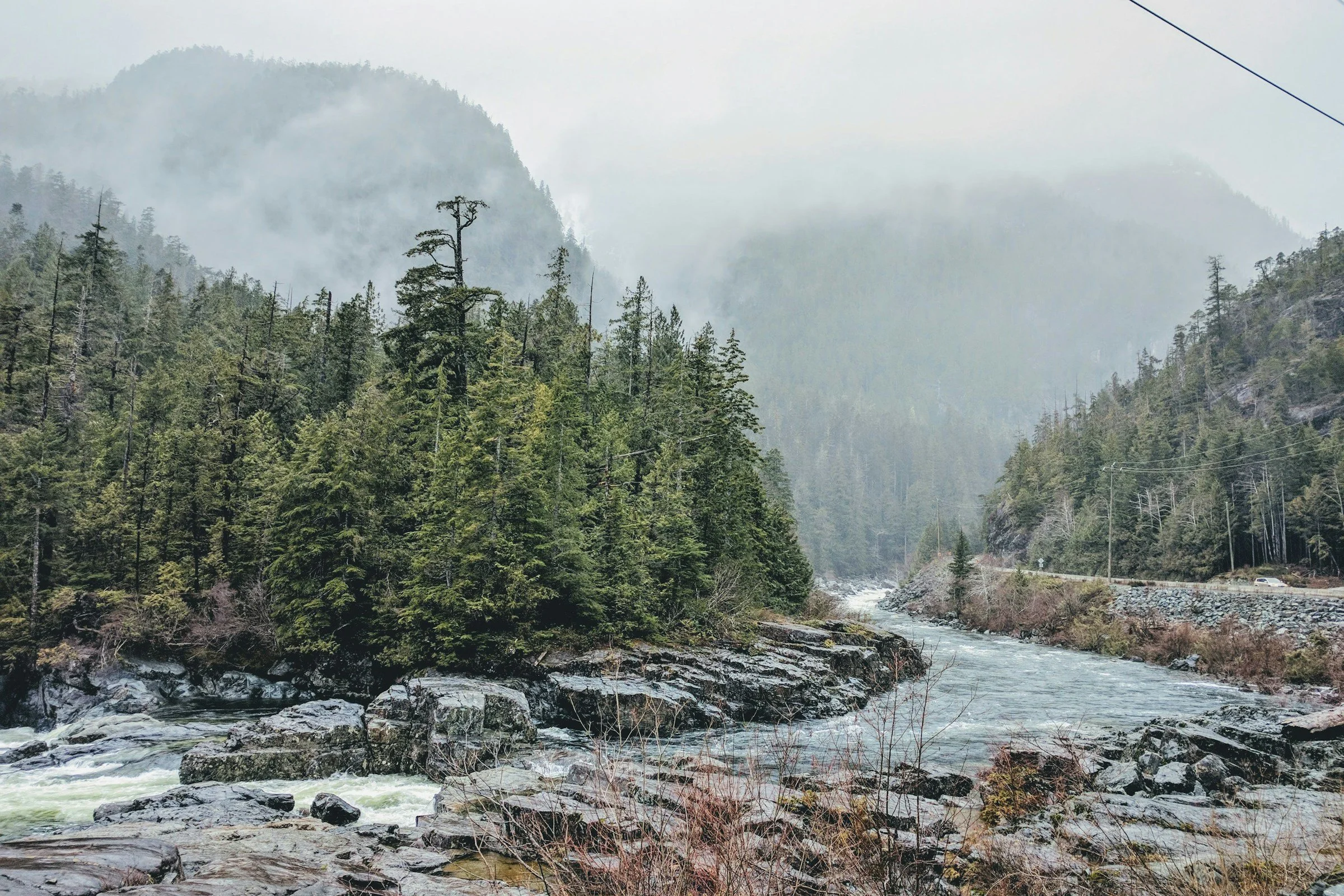 website-template-therapy-counseling-pnw-seekers-31.jpg