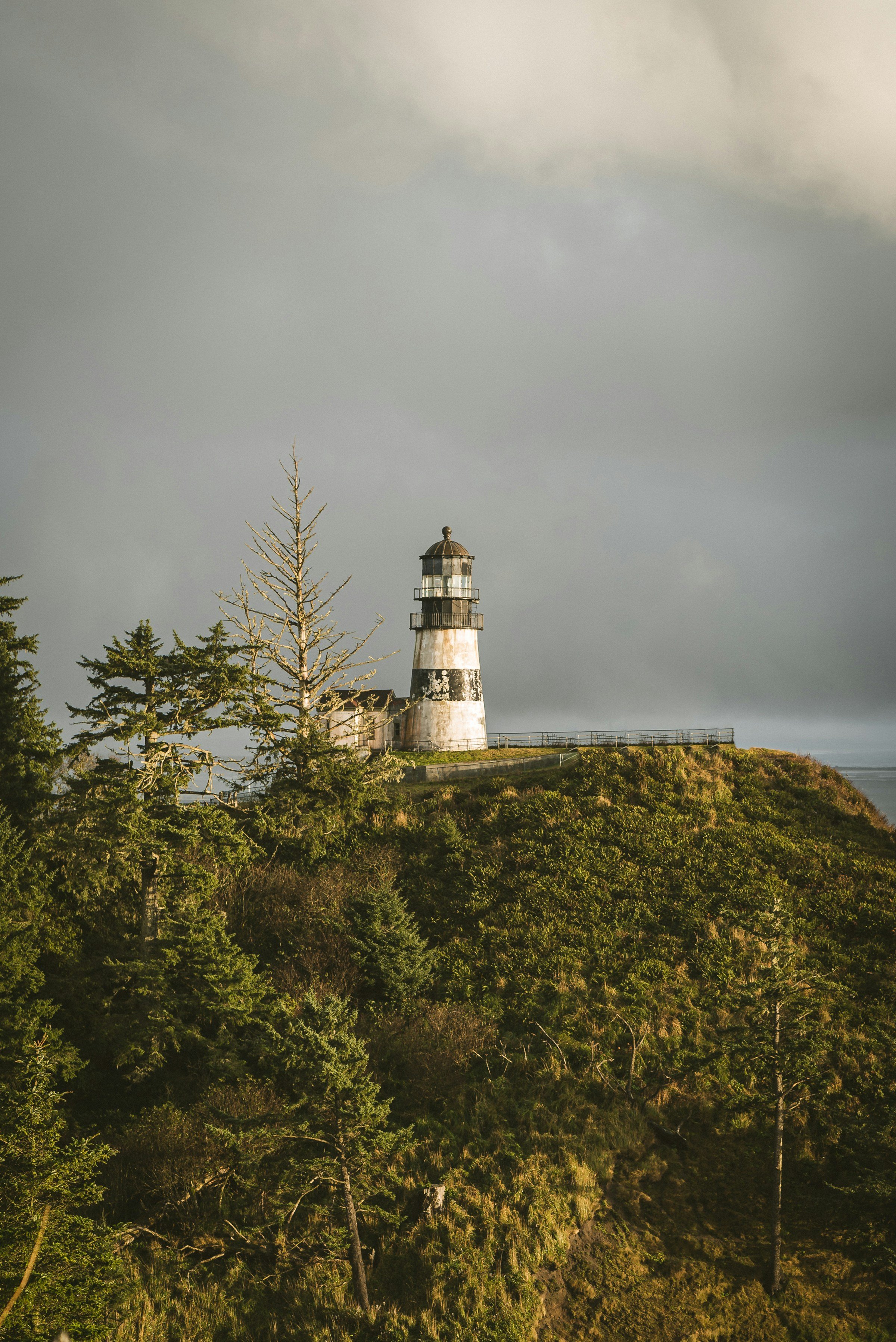 website-template-therapy-counseling-pnw-seekers-86.jpg