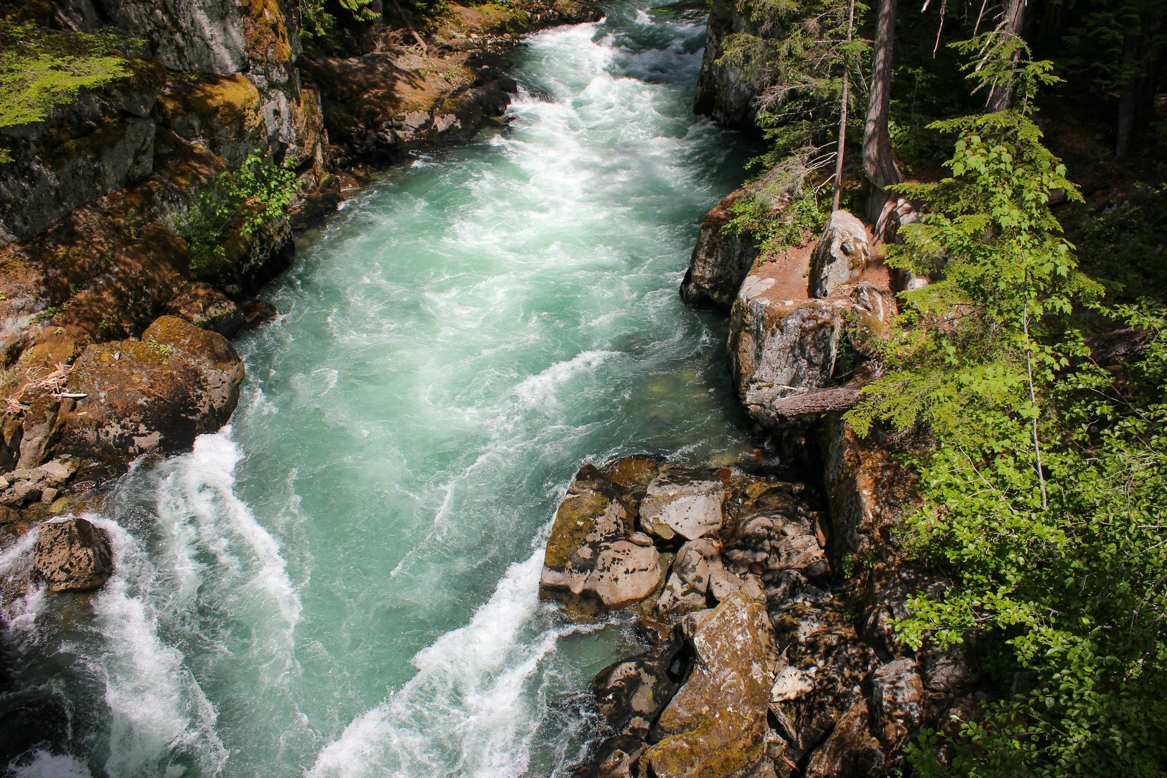 A rushing river with turquoise water flowing between large rocks and surrounded by green trees.