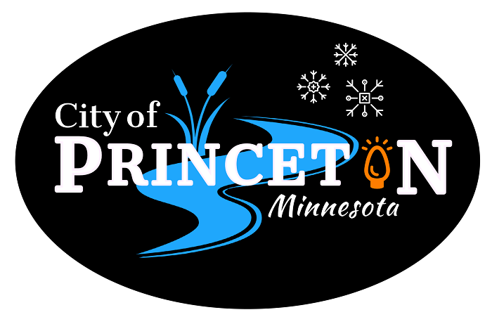 Light Up Princeton Fundraiser