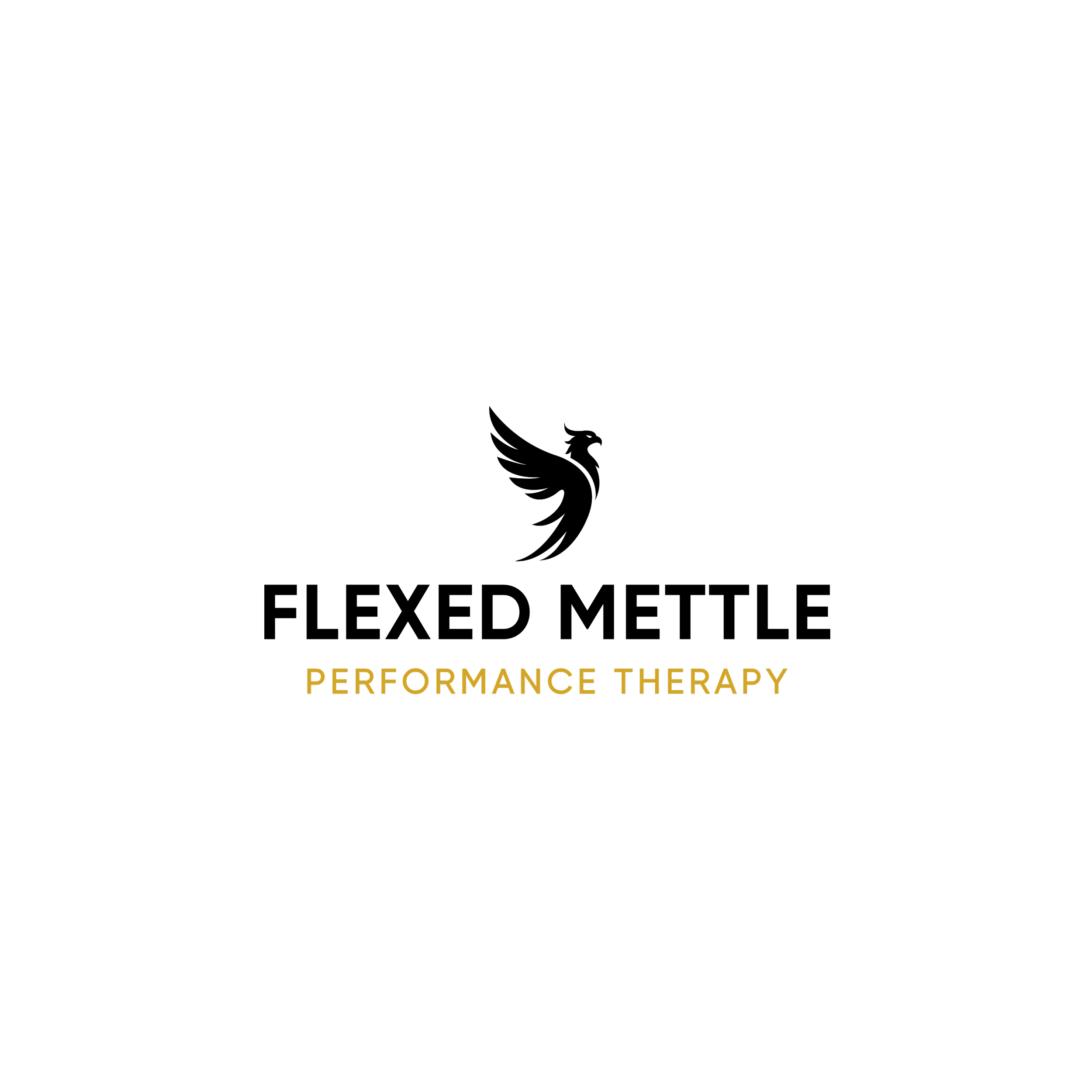 Official Logo - Black (7) - Eric Norman.png