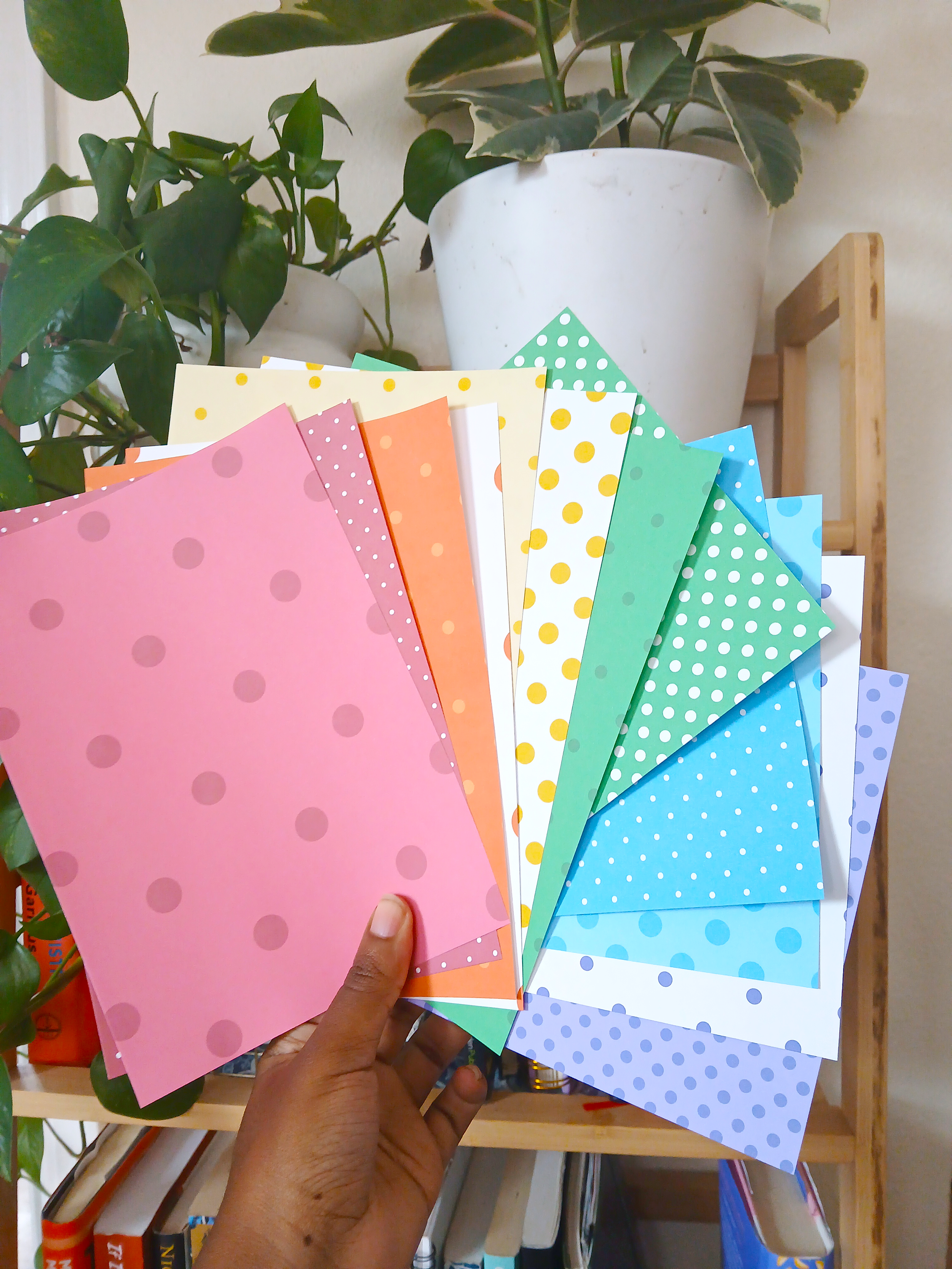 Back to Basics Paper Pack - Dots