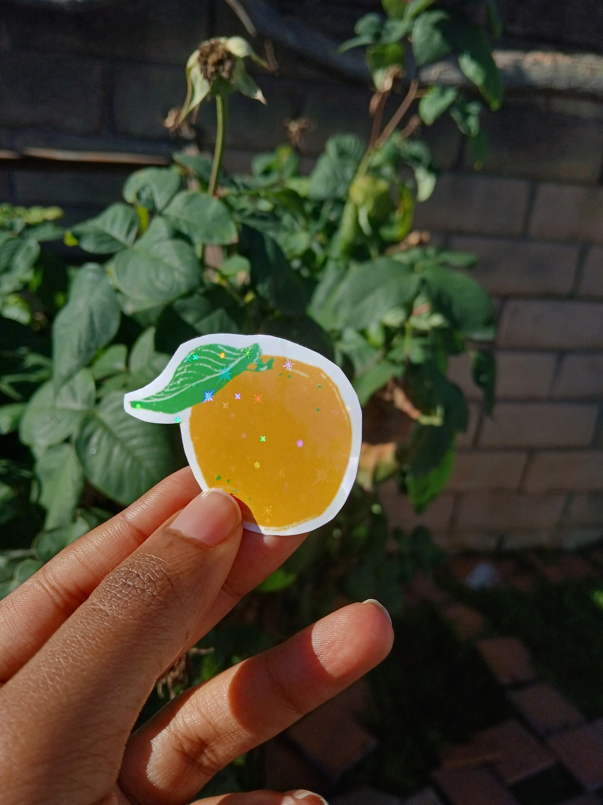 Orange Wave Glittery Sticker Pack