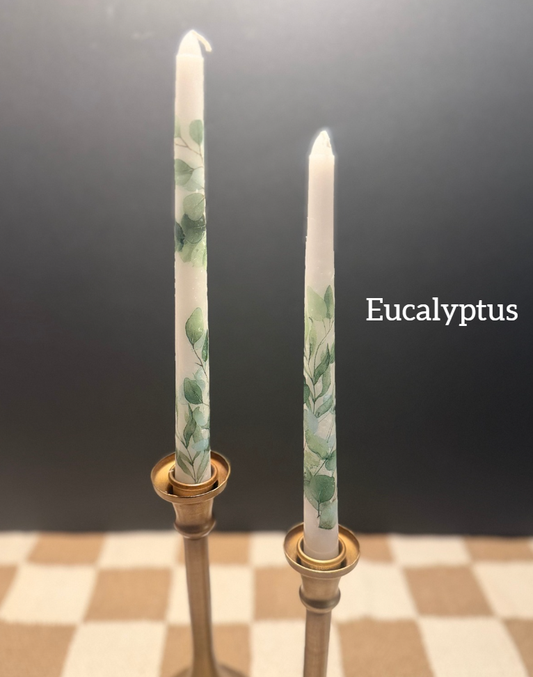 Eucalyptus taper candle.png