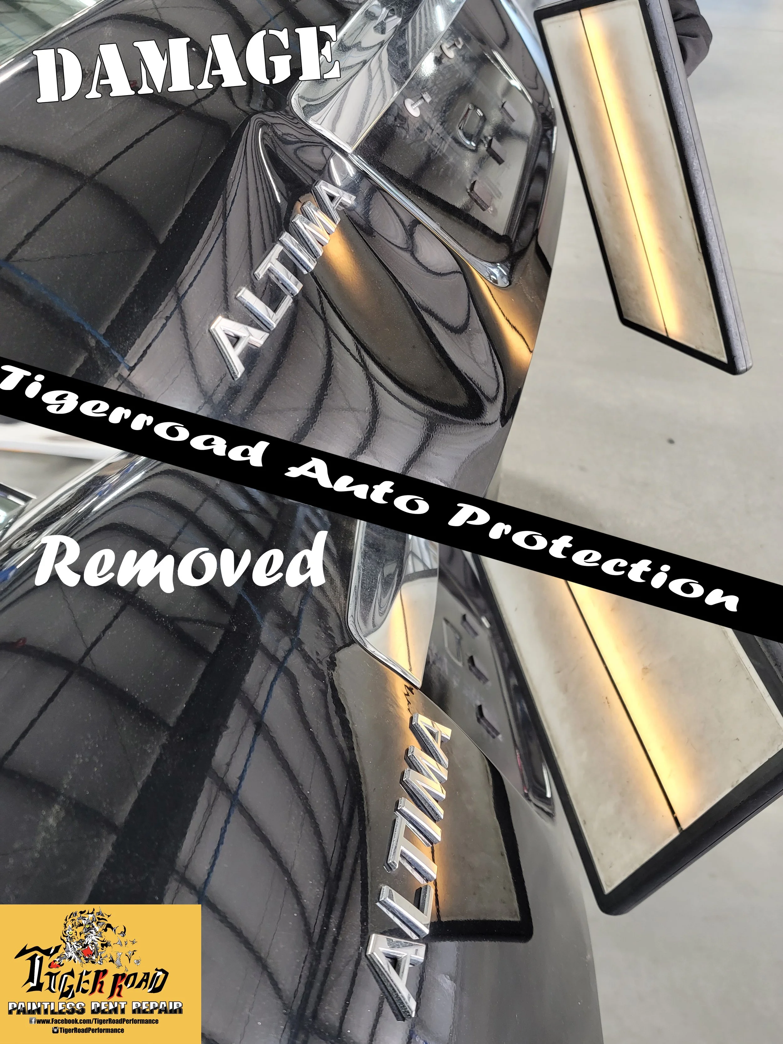 Altima Huge Trunk Hit