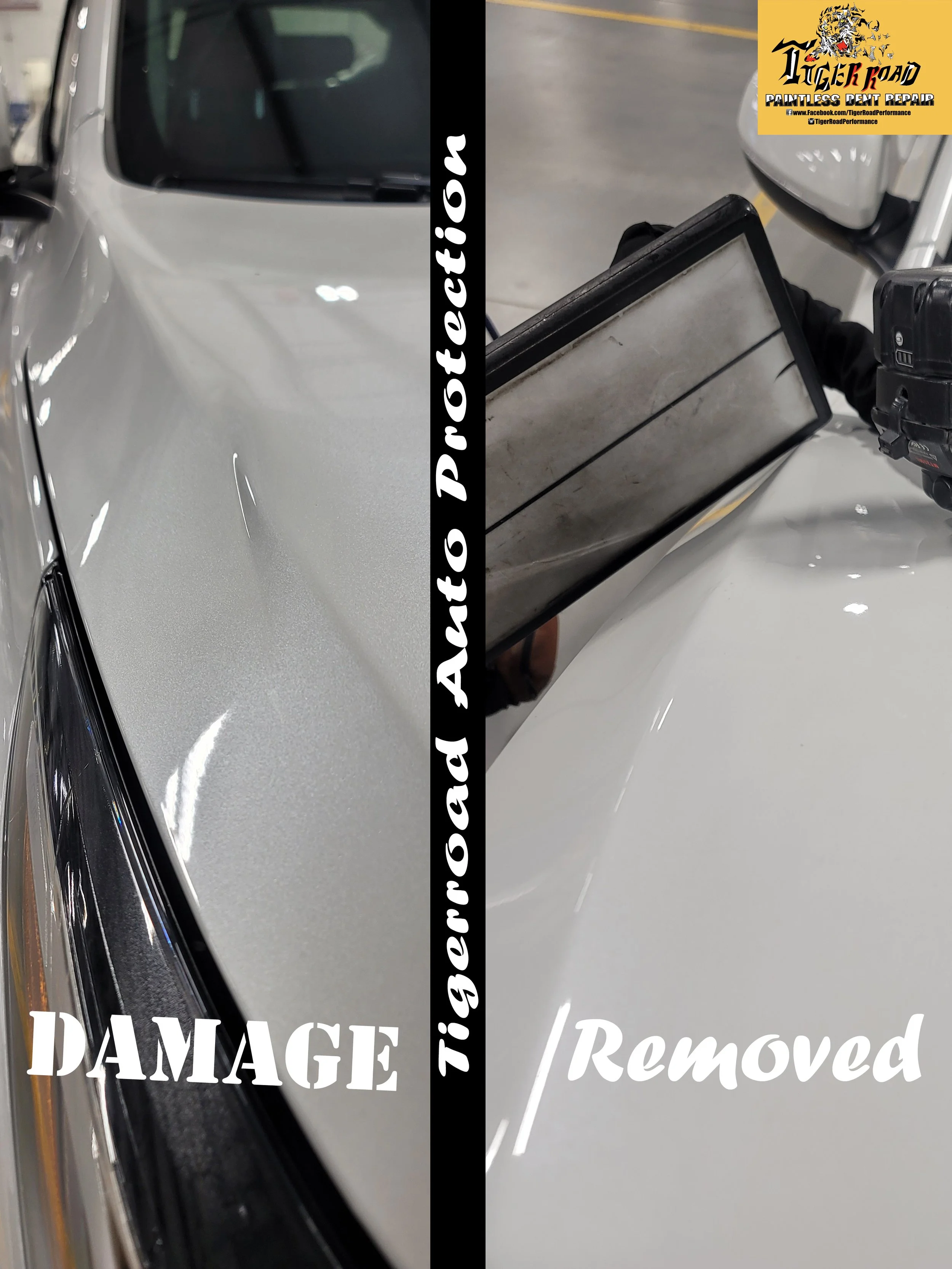 2019 RDX Hard crease through Bodyline with Crown