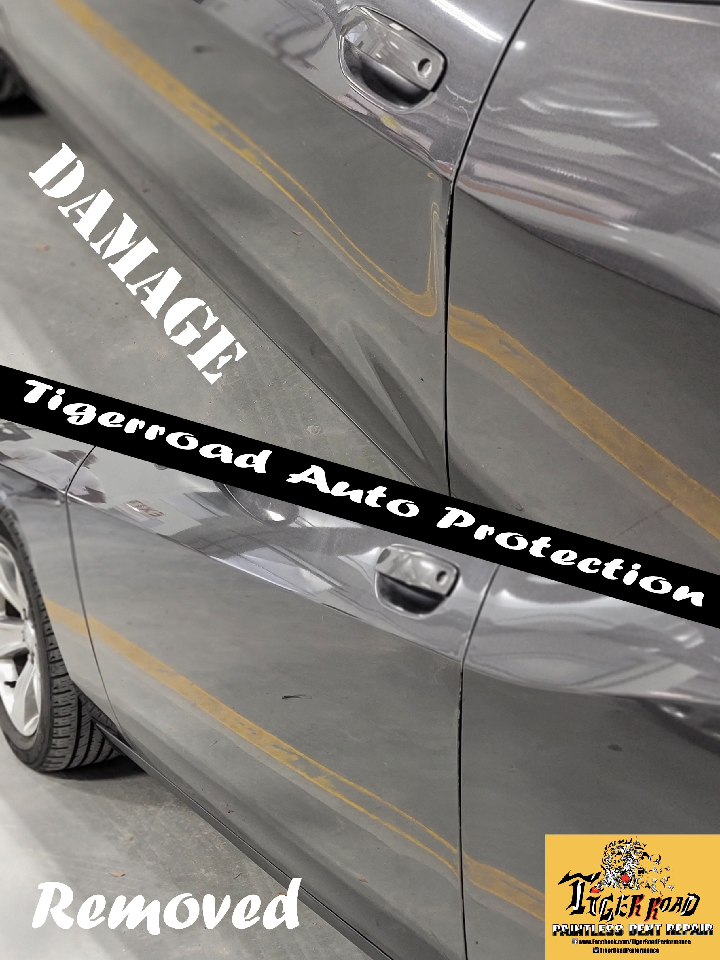 Dodge Challenger Full Door Damage