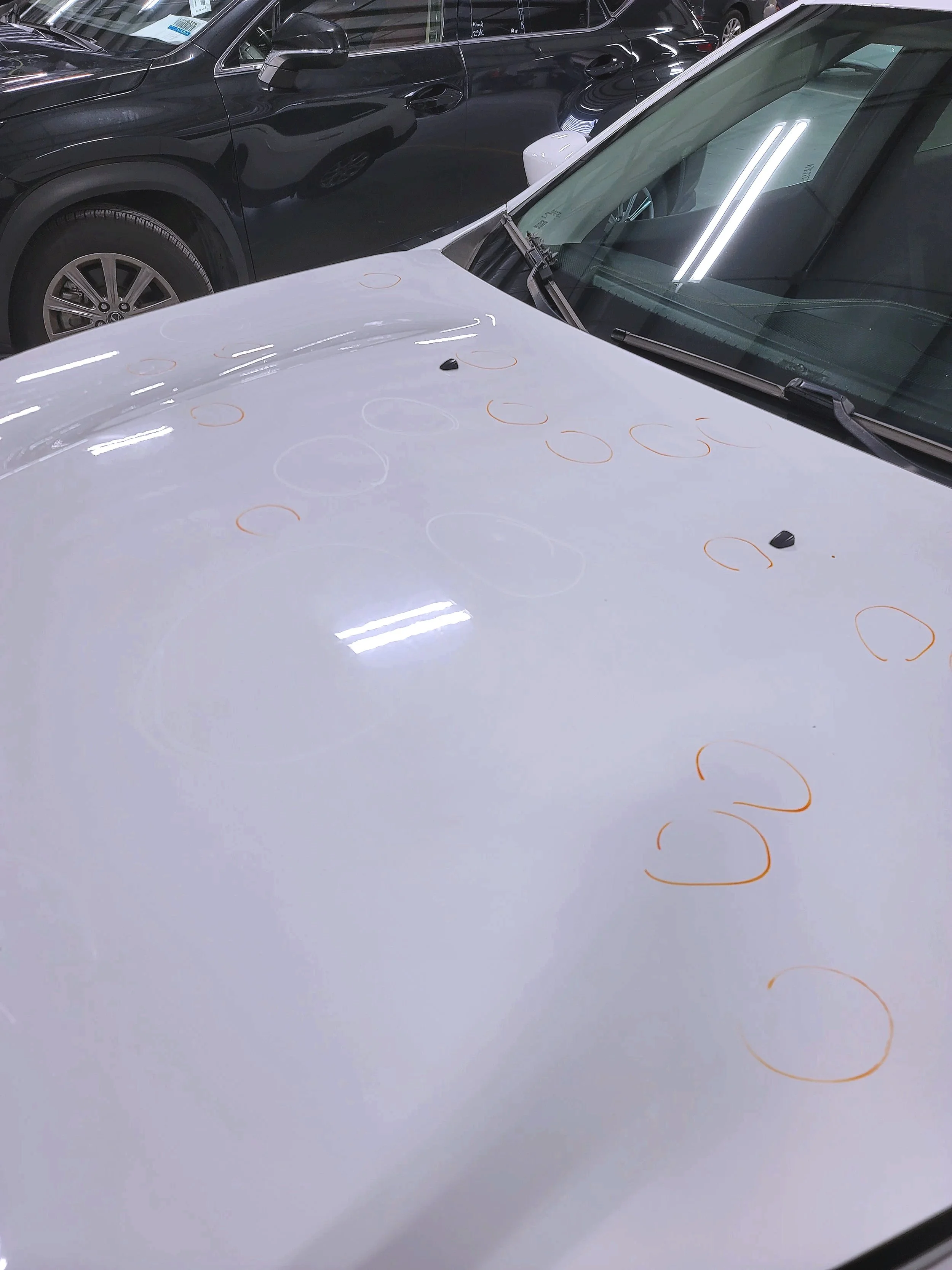 example of Hail damage on hood; Paintless Dent Removal starting $500 per Panel at Tigerroad Auto Protection LLC