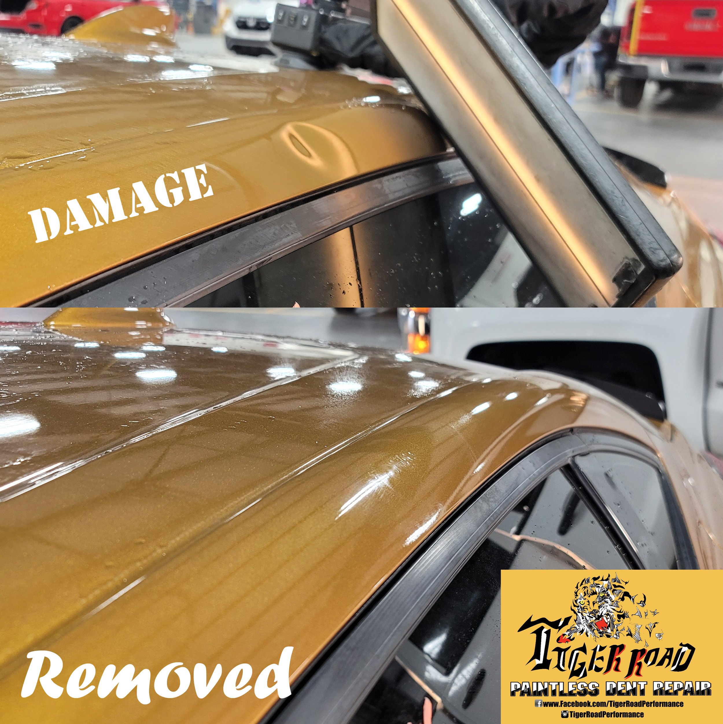 2023 Tiger Eye Pearl TLX type S Sealed Beam Dent Glue Pull only