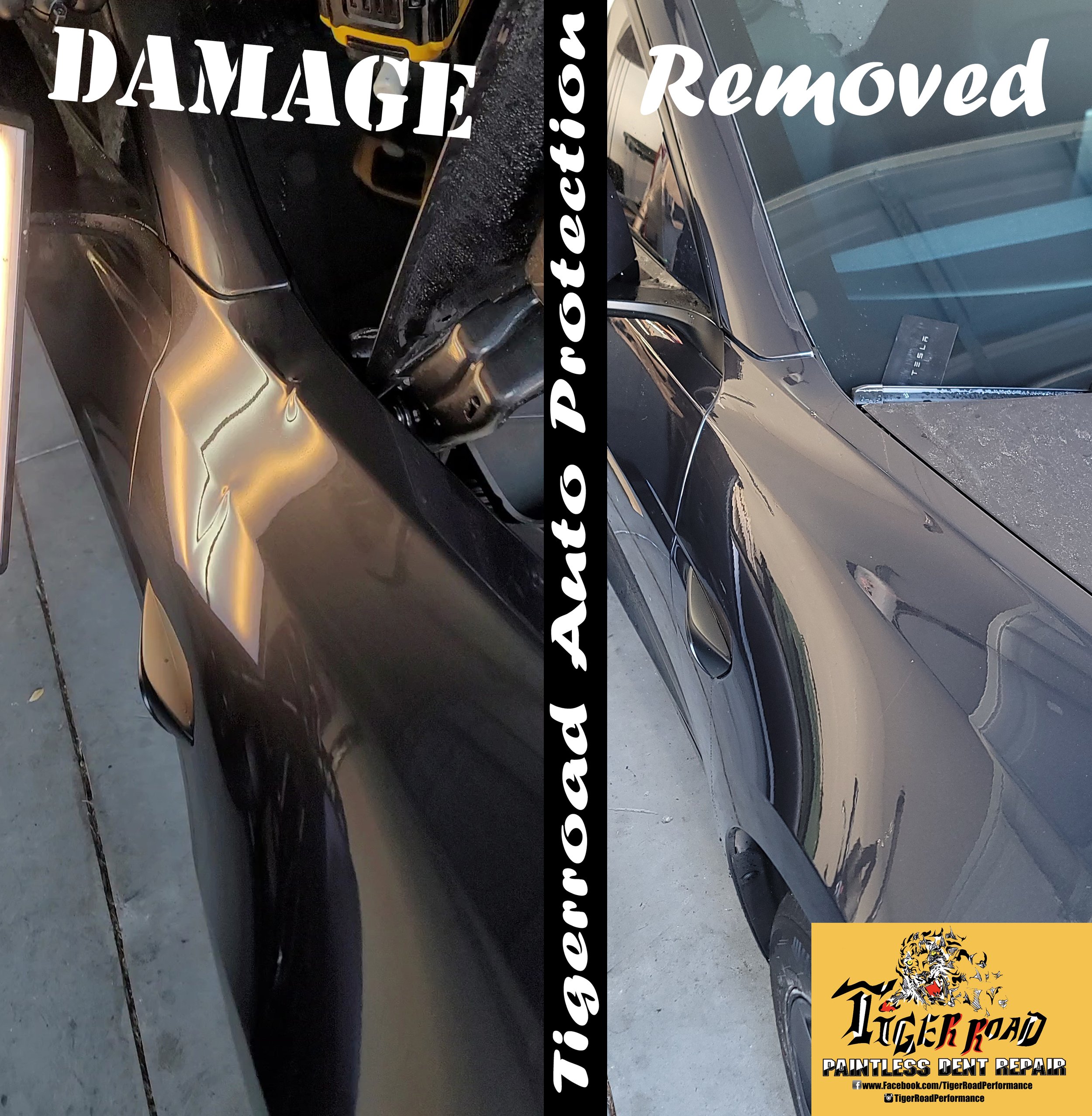 Tesla Sharp Bodyline with Crown and Second Bodyline Dent