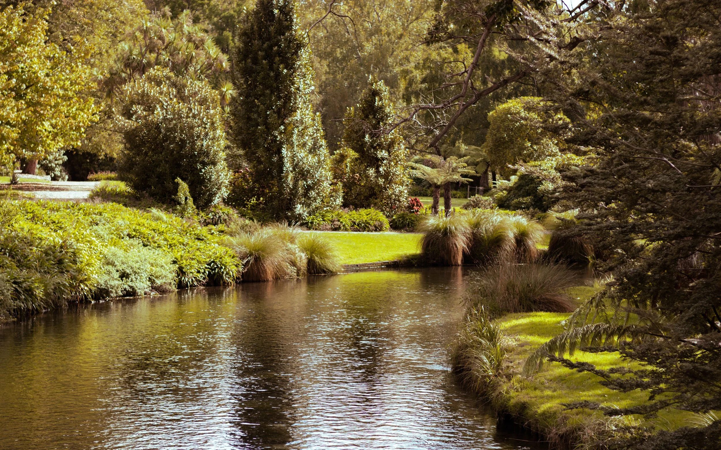A peaceful river surrounded by lush green trees, bushes, and grass with reflections on the water.