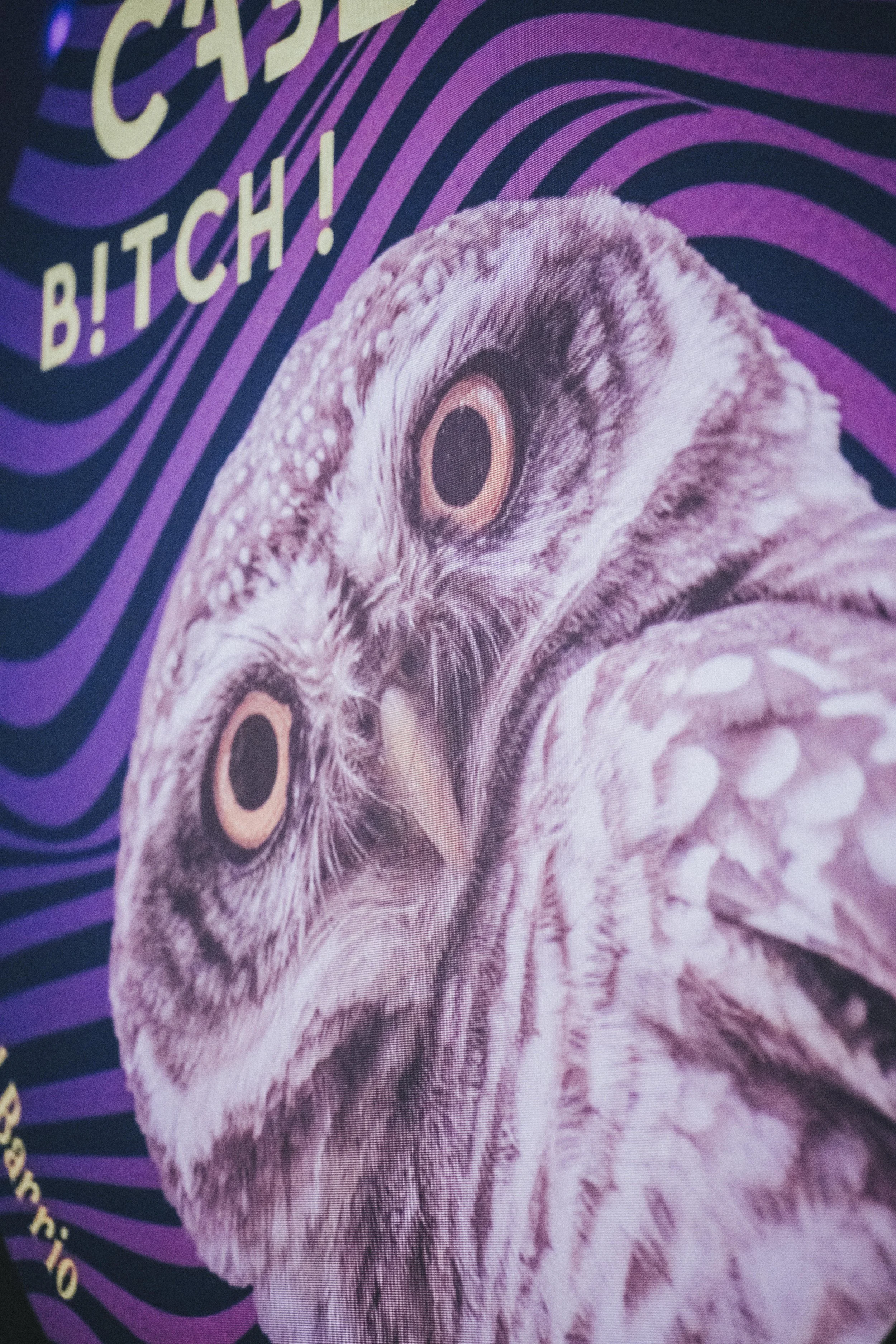 2026-02-20 Mdb cabeceo-3648.jpg